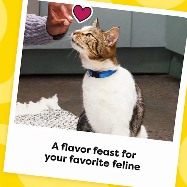 Temptations MixUps Backyard BBQ Cat Treats — Crunchy Outside, Soft Inside; Perfect for Daily Rewards, Playtime & Snack Breaks (Even Picky Cats Love Them) detail image 16