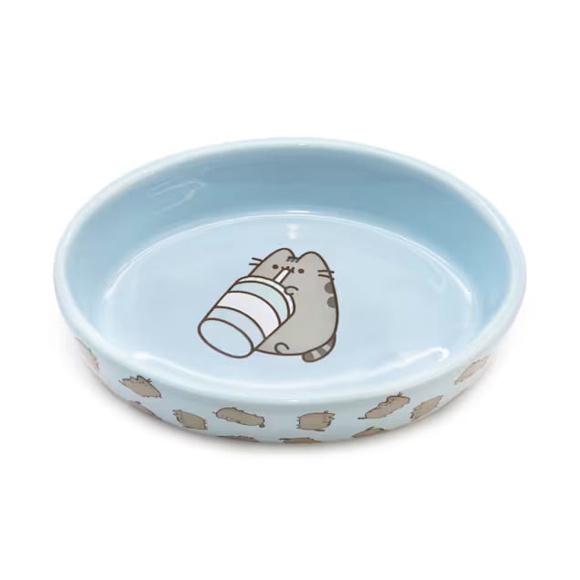 EveryYay Thirsty Oval Ceramic Cat Bowl/Water Dish — Heavy, Tip-Resistant, Wide Opening for Cats & Small Dogs, Easy to Clean