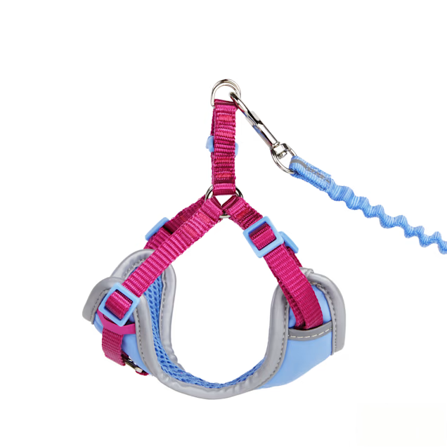 YOULY Reflective Escape-Proof Cat Harness & Leash Set (Large/XL) — Safer Night Walks, Easy On, No Chafing