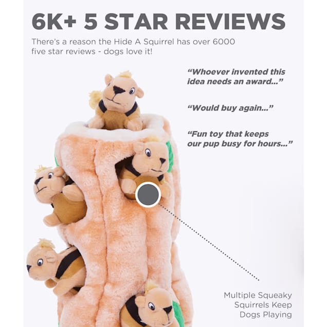 Outward Hound Hide-A-Squirrel Dog Toy for Large/Giant Breeds — Extra-Durable Chew & Teething Plush Puzzle, Anti-Boredom Interactive Toy (Great for Golden Retrievers, Alaskan Malamutes & More) detail image 3