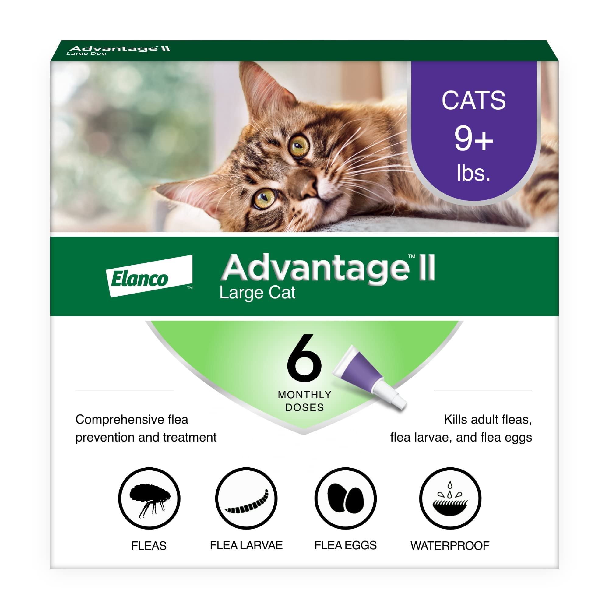 Advantage II Large Cat Flea Treatment & Prevention | For Cats Over 9 lbs. | 6-Month Supply (6 Count)