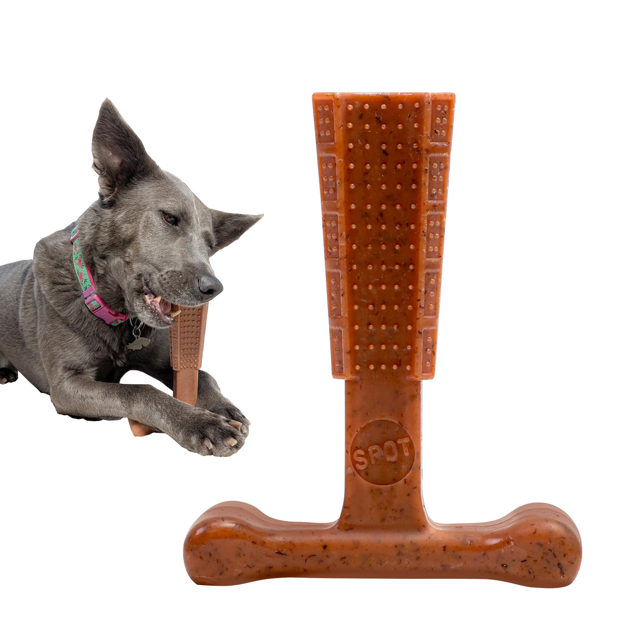 SPOT Bam-Bones Plus T-Bone – Bamboo Fiber & Nylon Dog Chew Toy, Beef Flavor, for Moderate to Aggressive Chewers, Up to 60 lb, 6 in