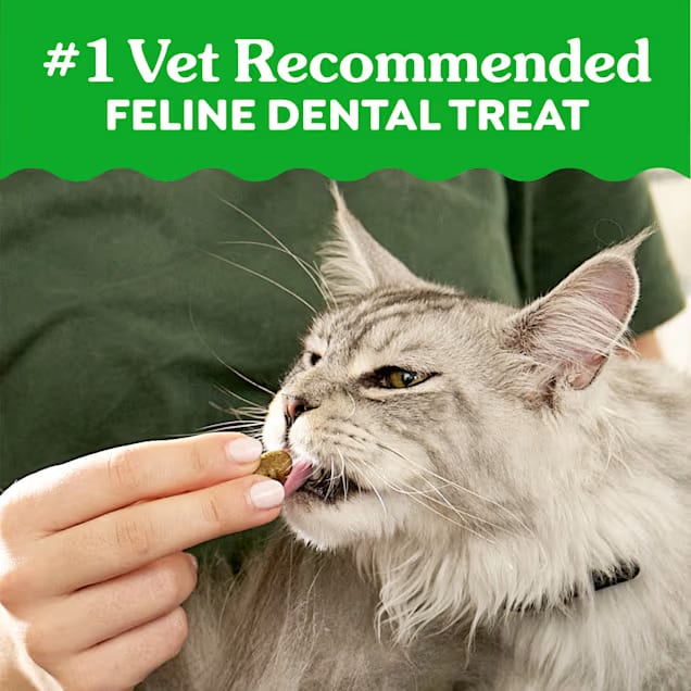 Feline Greenies Cat Dental Treats, Catnip Flavor, 2.1 oz Portable Pack, VOHC Accepted—Helps Reduce Plaque & Tartar Buildup, Crunchy Dental Chews for Adult Cats, Freshens Breath, Natural Ingredients, Highly Palatable, Imported from the USA detail image 6