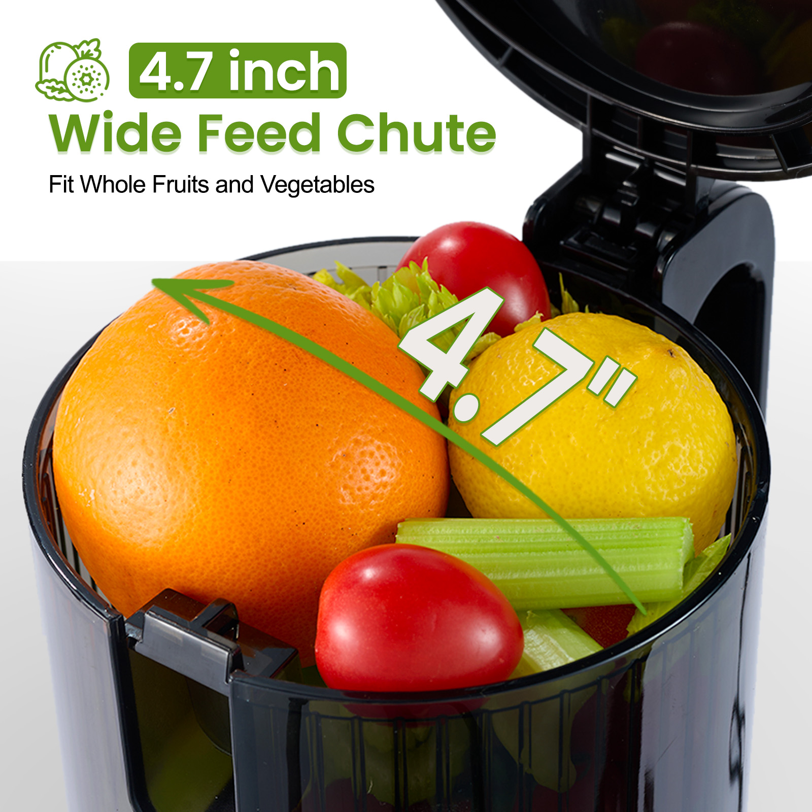 Ventray Max120 Cold-Press Juicer — 4.7" Wide Feed Chute, Extended Extraction & Double Filtration, High Yield, Easy to Clean, Ivory detail image 4