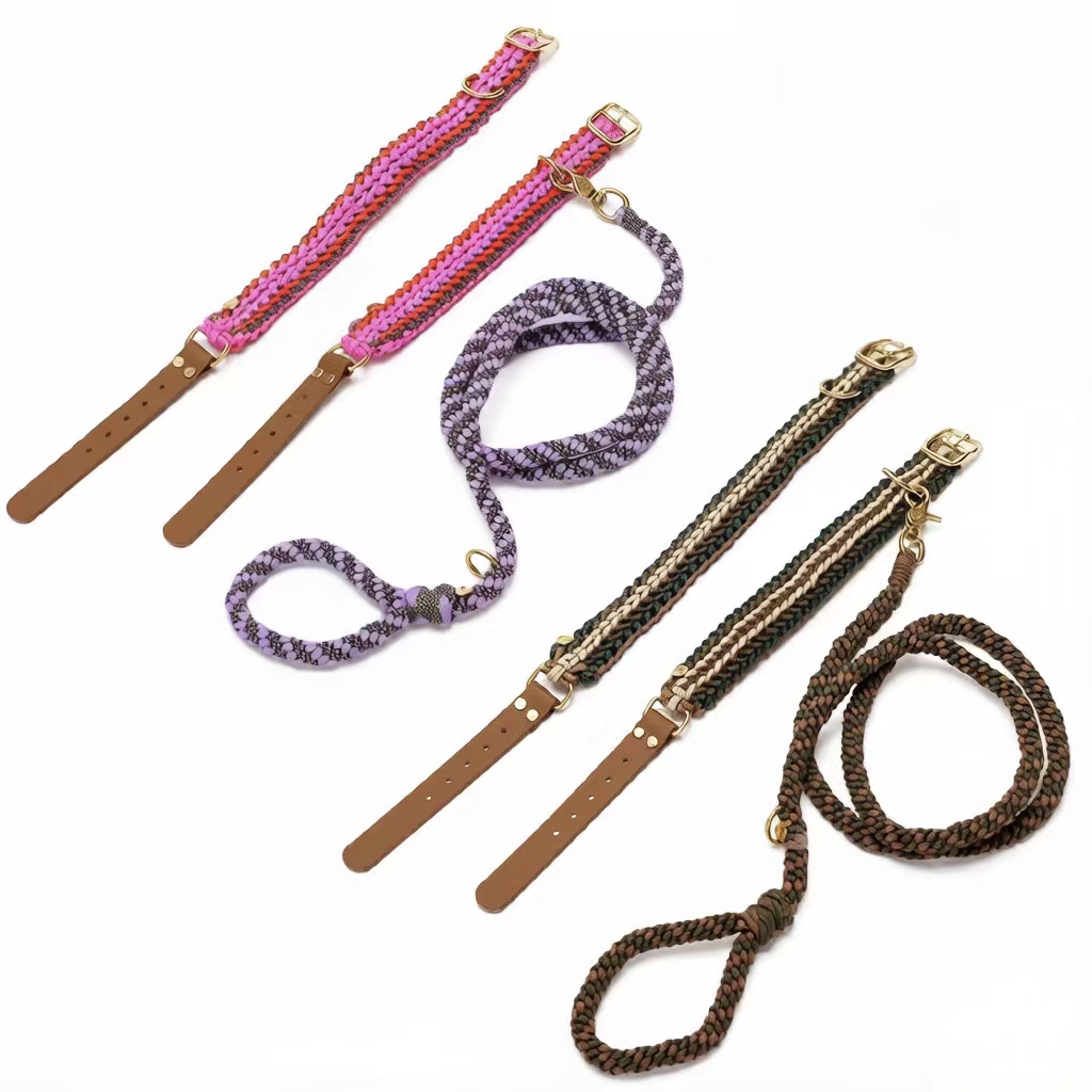 BEASTY PET Tallie5 Dog Leash Set — Reinforced Collar + Long Leash, Adjustable Multiple Sizes, Tear-Resistant, Suitable for Corgis/ Bulldogs/ Golden Retrievers and Other Medium-Large Dogs
