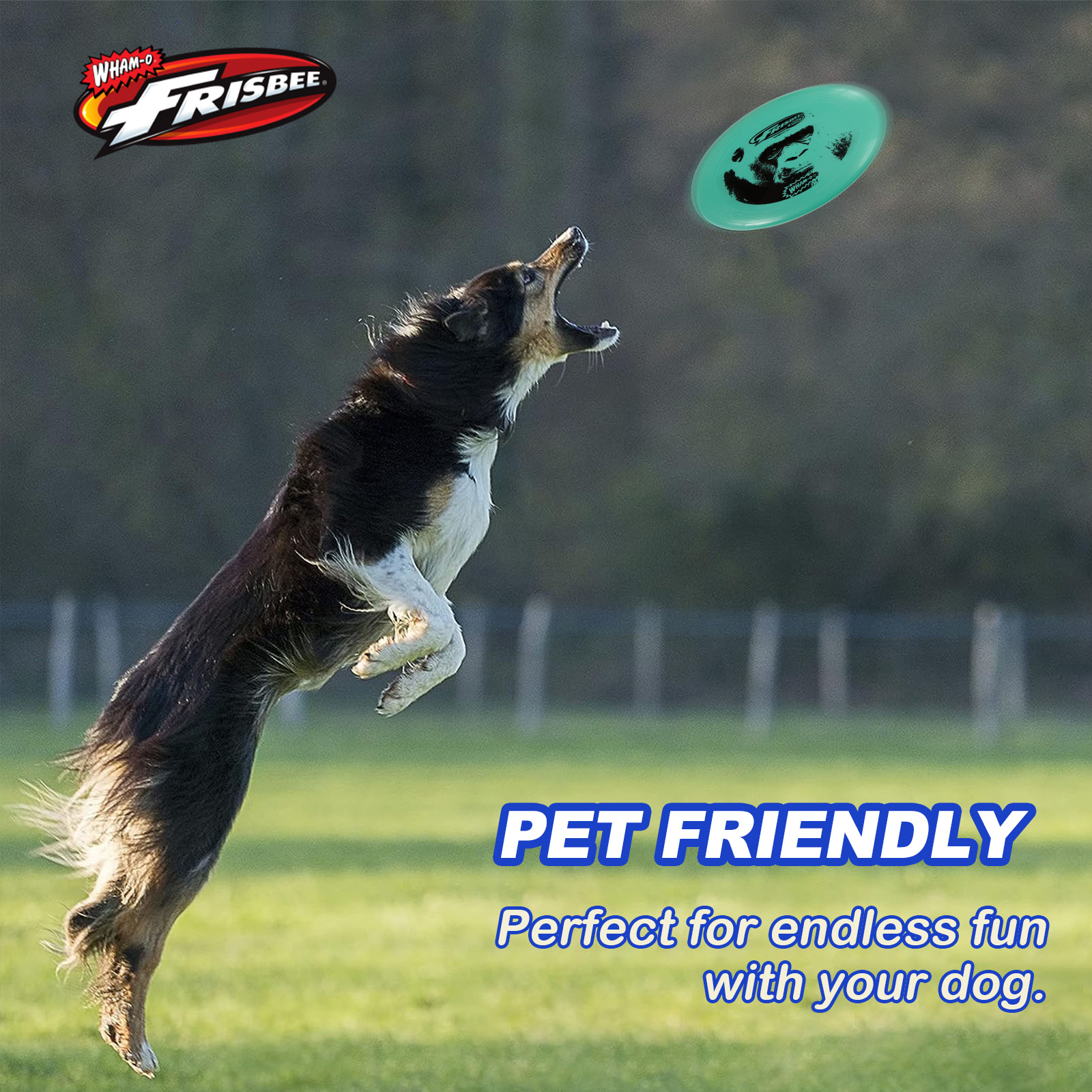 Wham-O Frisbee Cool Flyer Green Lightweight Flying Disc | Kids Outdoor Throw & Catch Toy | Family Grass & Beach Game detail image 6