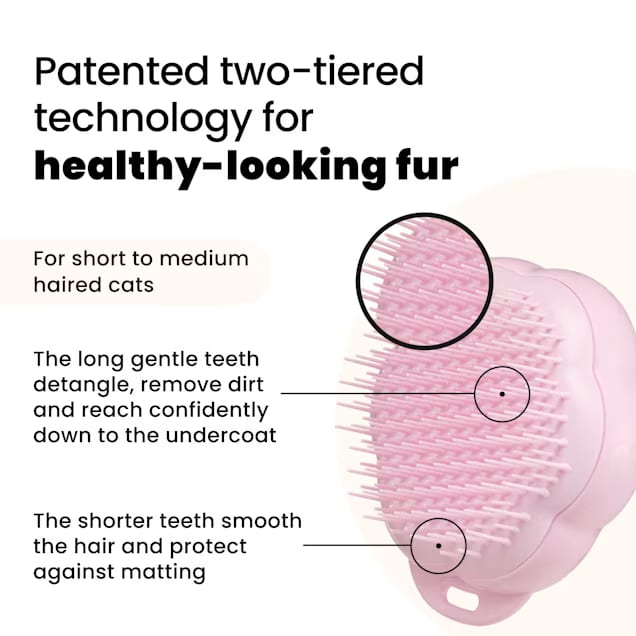 Pet Teezer Cat Detangling Brush (Purple) — Patented Ergonomic Handle, Easy Grip, Rinses Clean, For All Cat Breeds detail image 9