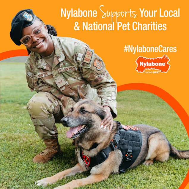 Nylabone Puppy Teething Pacifier Chew Toy (Small) Bacon Flavor | Soft Material + Massage Nubs | Soothes Teething Gum Discomfort | For Small Puppies Up to 25 lbs | Redirects Destructive Chewing at Home | Vet Recommended detail image 7
