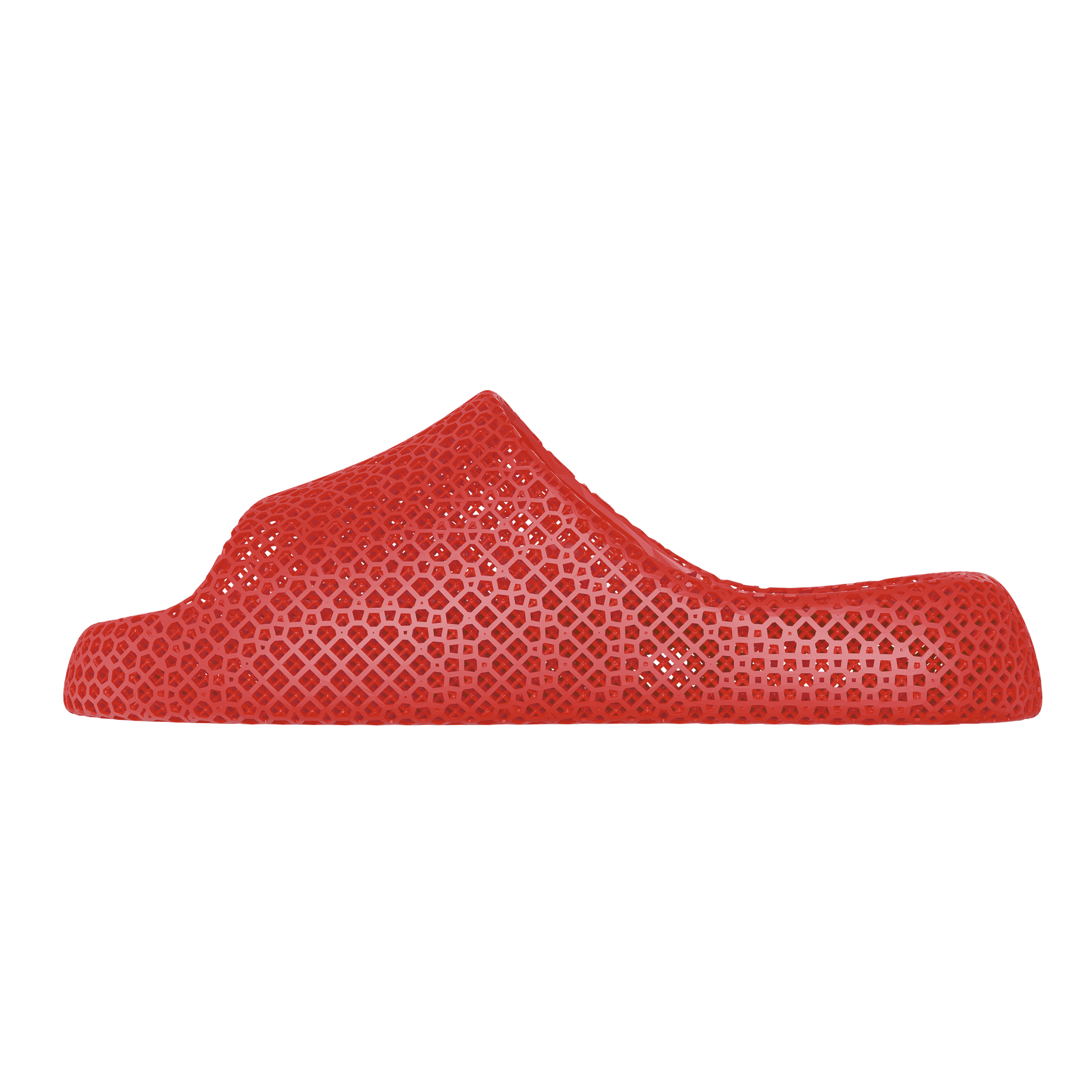 Dolphin — 3D Printed Recovery Cushioned Insoles (Shoe Inserts)