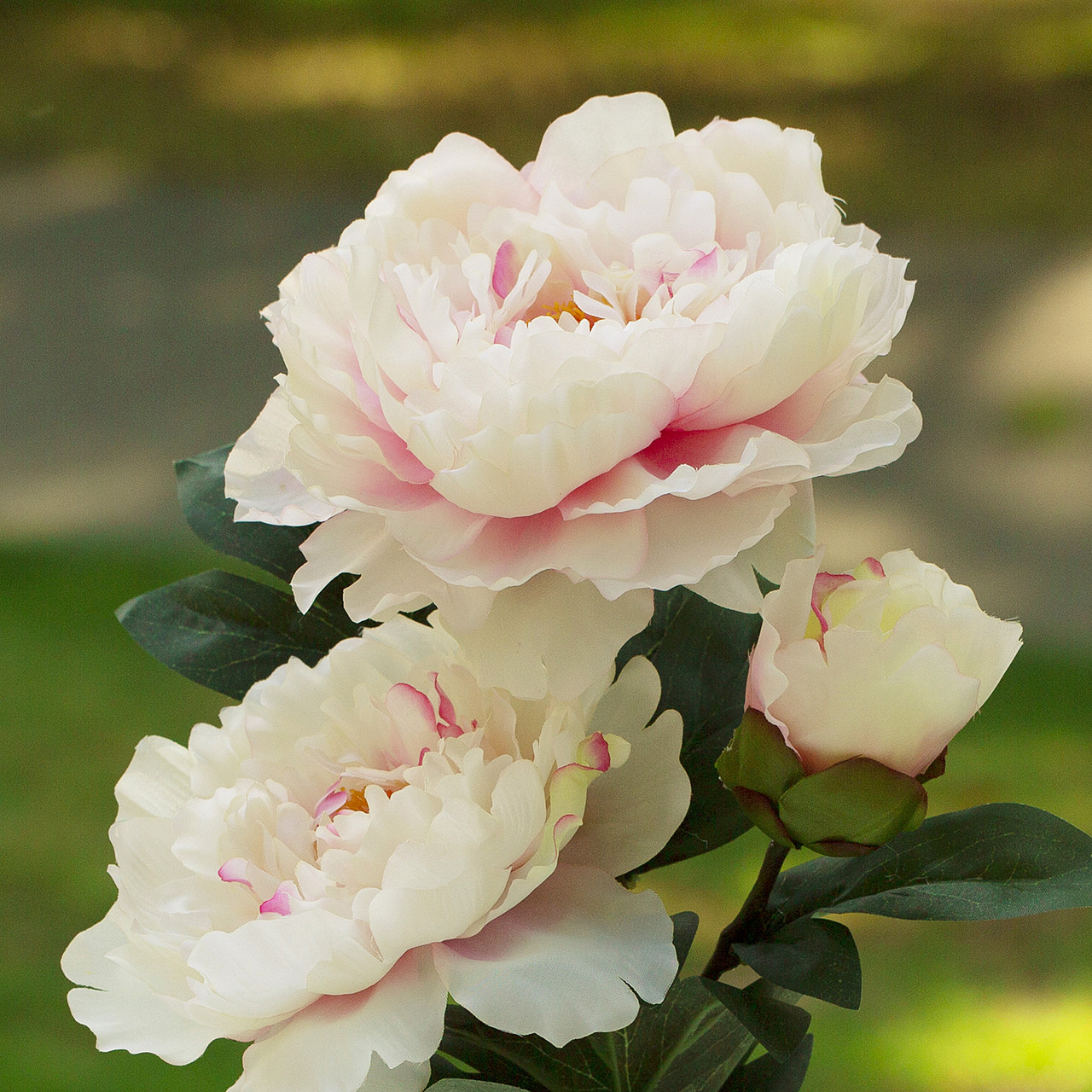 Enova Floral Pink Silk Realistic Peony in Clear Glass Vase with Acrylic Water|High-Quality Silk Flowers|Approx. 15" Tabletop Decoration detail image 5