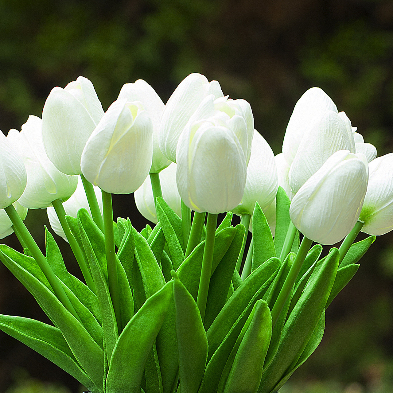 Enova Floral 20pcs Real Touch Artificial Tulips with Clear Glass Vase | High-Quality Real Touch Material | Realistic Water Effect | ~12in Table Decoration | Ideal for Home, Wedding & Party detail image 6