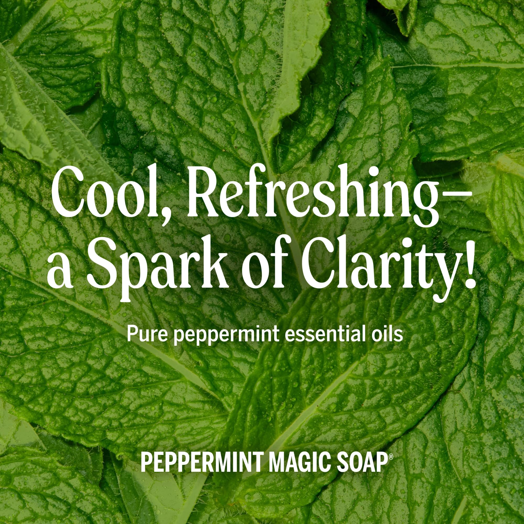 Dr. Bronner's Peppermint Pure-Castile Liquid Soap, Body Wash, 16 oz detail image 5