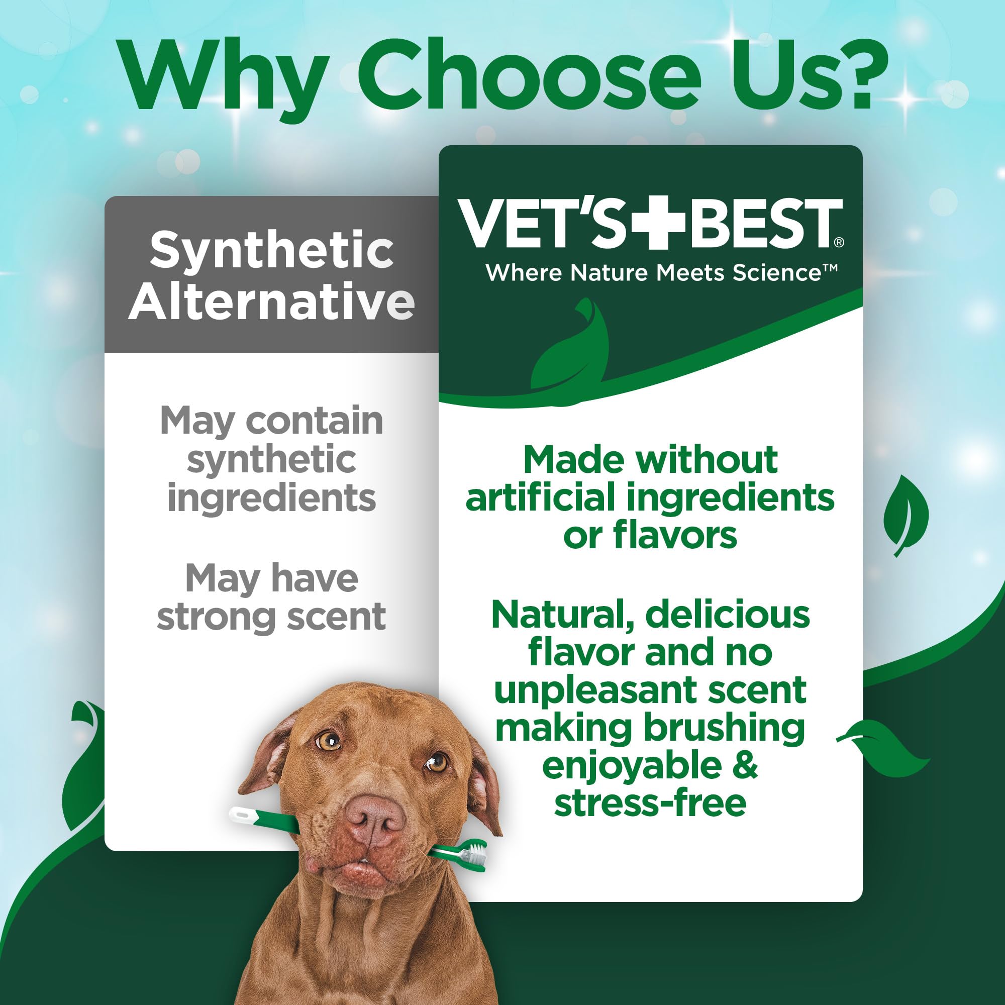 Vet’s Best Enzymatic Dog Toothpaste – Vet-Formulated Dental Gel for Teeth Cleaning, Fresh Breath, Tartar & Plaque Control, 3. 5 oz detail image 2
