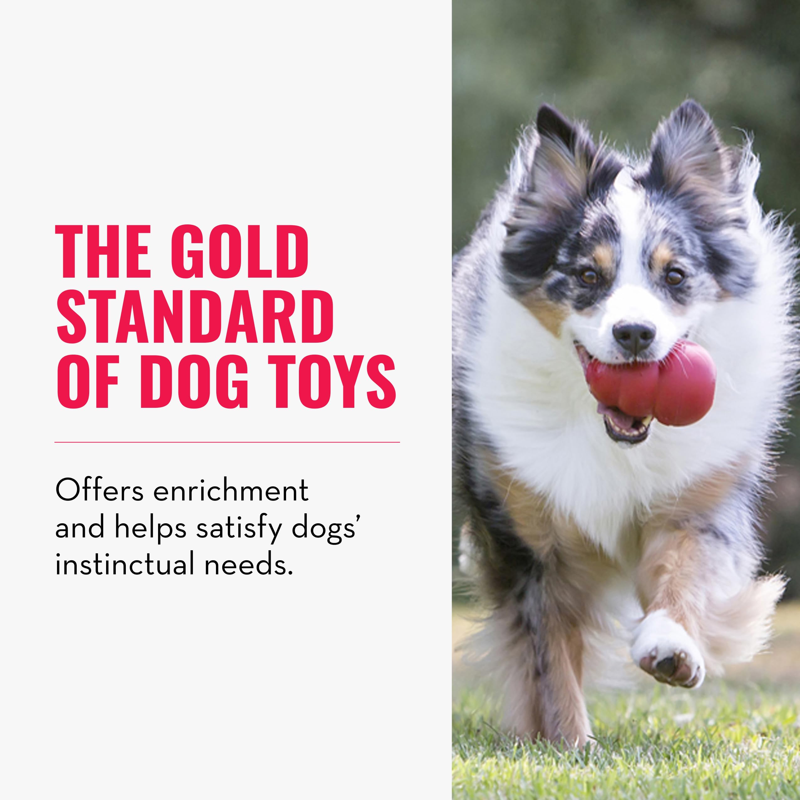 KONG Classic Stuffable Dog Toy - Fetch & Chew Toy for Dogs - Treat-Filling Capabilities & Erratic Bounce for Extended Play Time - Durable Natural Rubber Material - for Large Dogs detail image 4