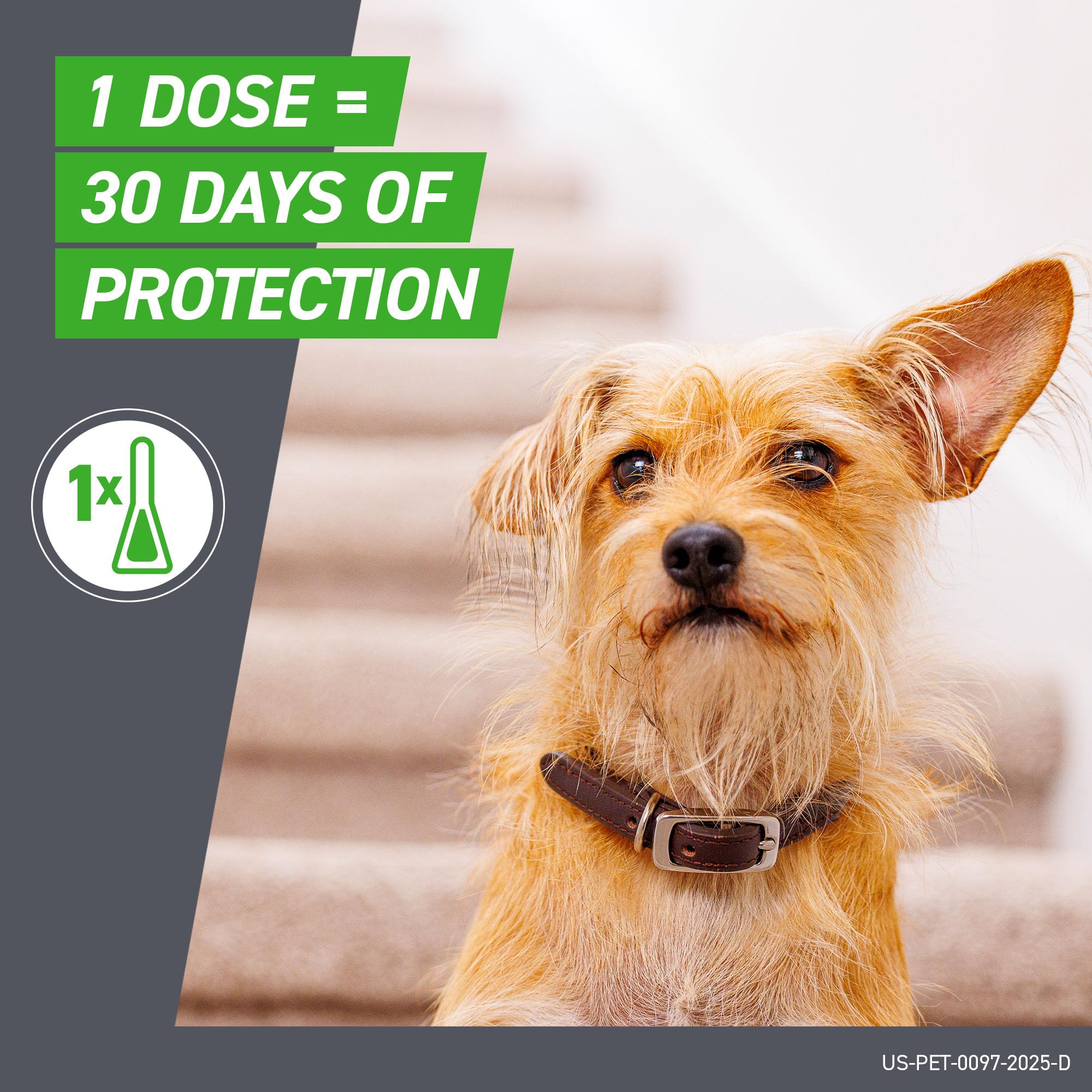 FRONTLINE Plus Flea & Tick Spot Treatment for Large Breed Dogs (45–88 lb), 3-Pack detail image 5