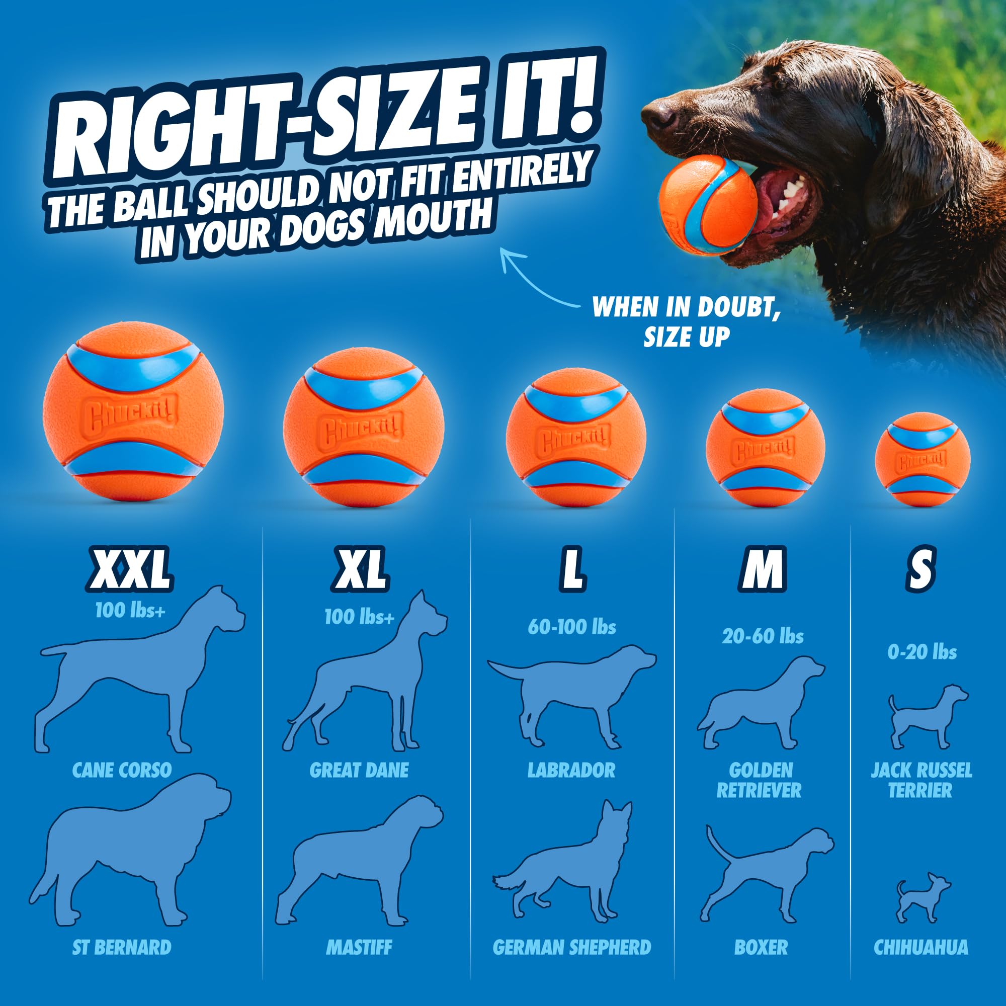 Chuckit! 12" Sport Dog Ball Launcher with 12" Handle for Medium Dogs (2. 5" Balls), Plastic Fetch Launcher detail image 8