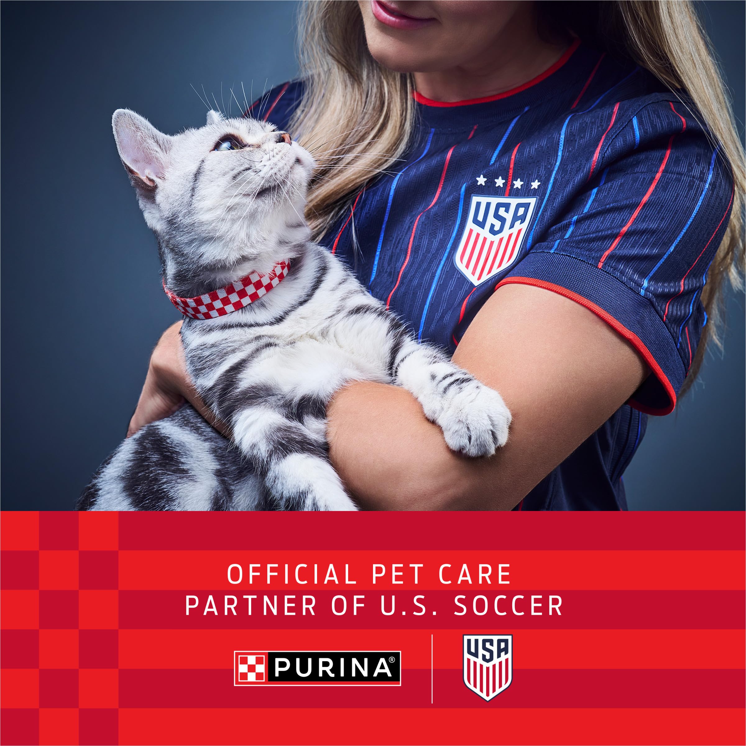Purina ONE Natural Dry Cat Food, Tender Selects Blend With Real Salmon - 7 lb. Bag detail image 3