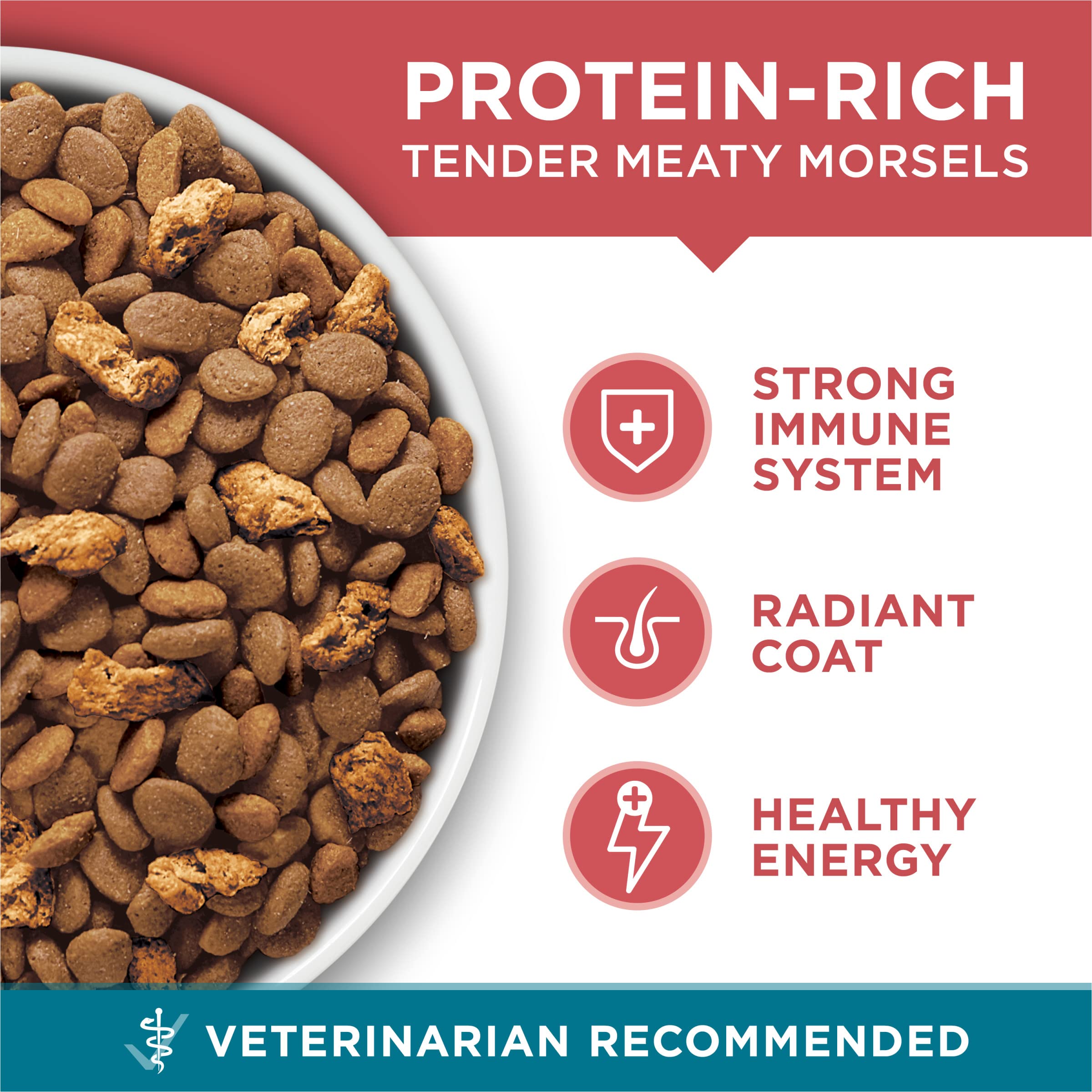 Purina ONE Natural Dry Cat Food, Tender Selects Blend With Real Salmon - 7 lb. Bag detail image 8