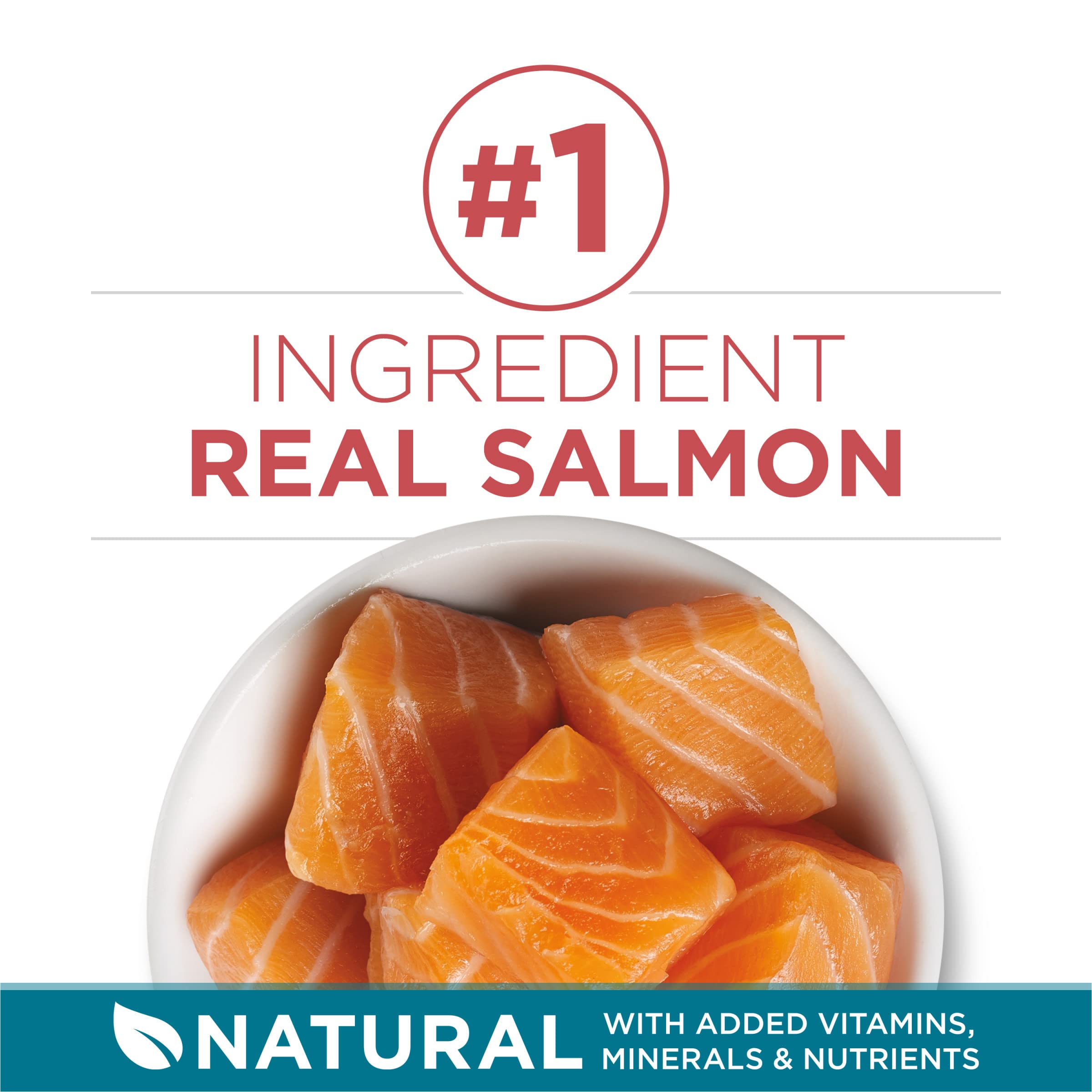Purina ONE Natural Dry Cat Food, Tender Selects Blend With Real Salmon - 7 lb. Bag detail image 4