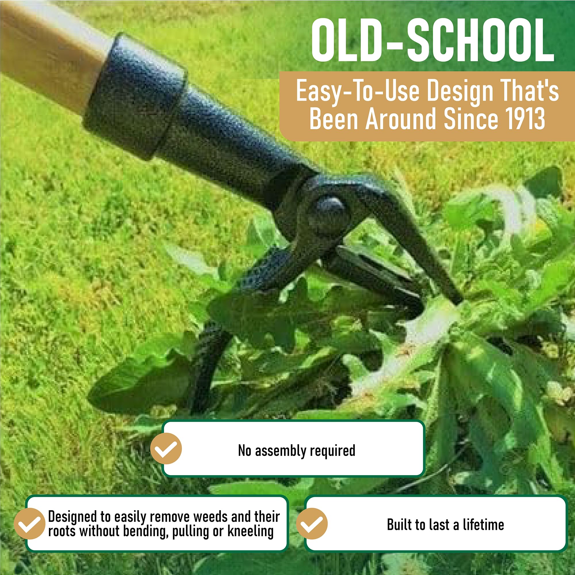 Grampa's Weeder – Original Stand-Up Weed Puller with 45" Bamboo Handle and 4-Claw Steel Head detail image 3