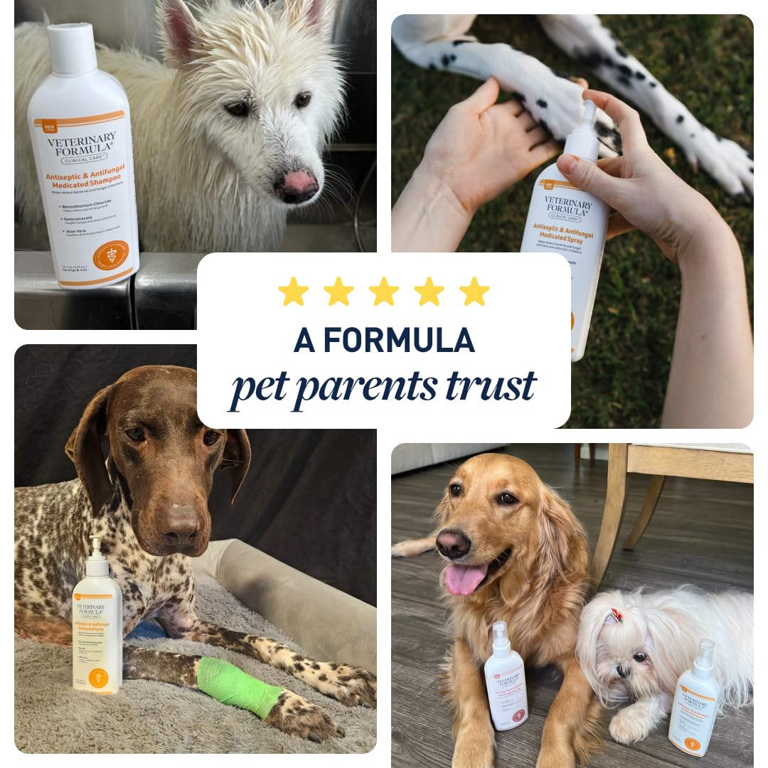 Veterinary Formula Clinical Care Antiseptic & Antifungal Medicated Spray for Dogs & Cats, 2 fl oz (1 Pack) detail image 5