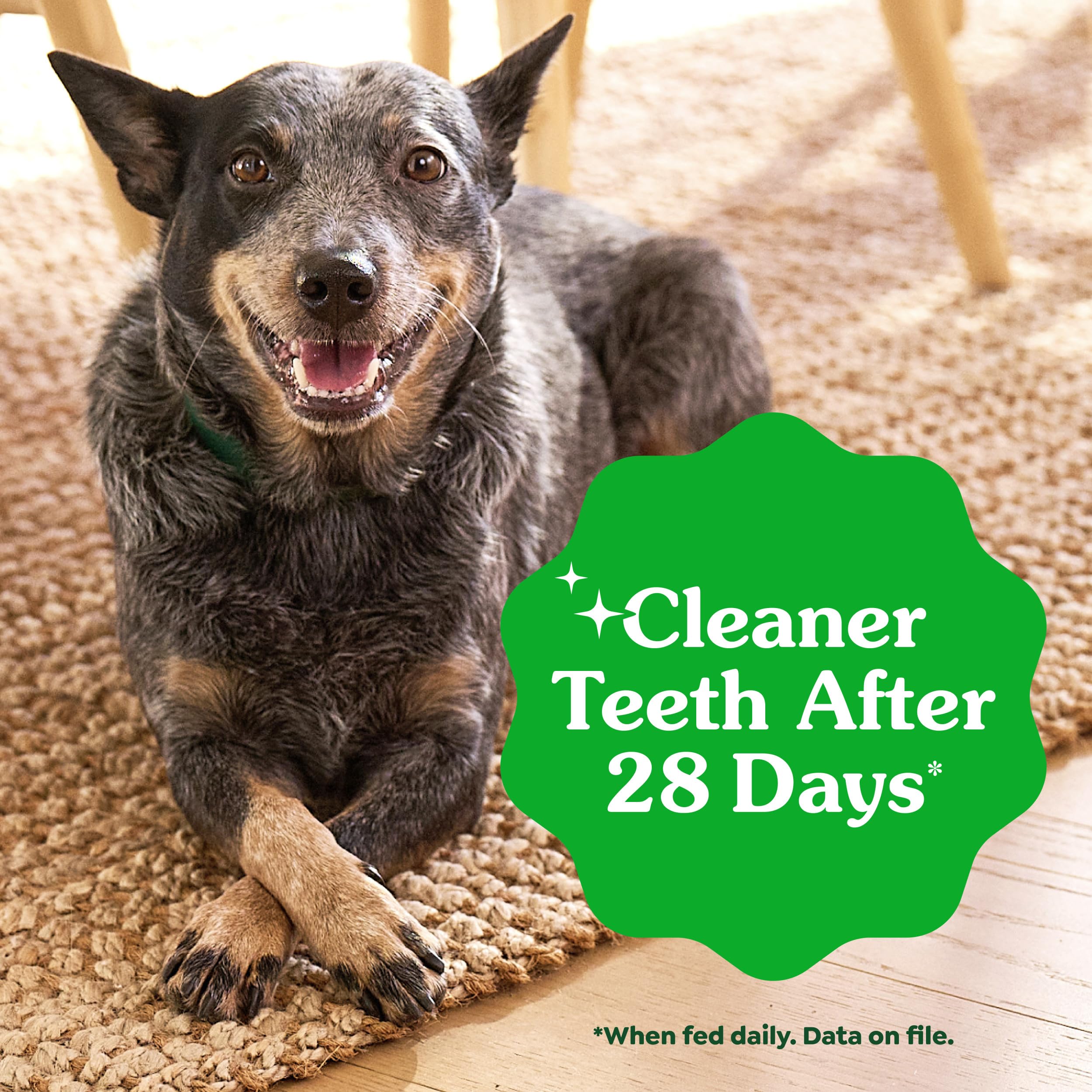 Greenies Veterinarian-Recommended Adult Natural Dental Dog Treats Teenie Size, Dog Dental Chews, Original Flavor, 36 oz. Pack, 130 Count detail image 5