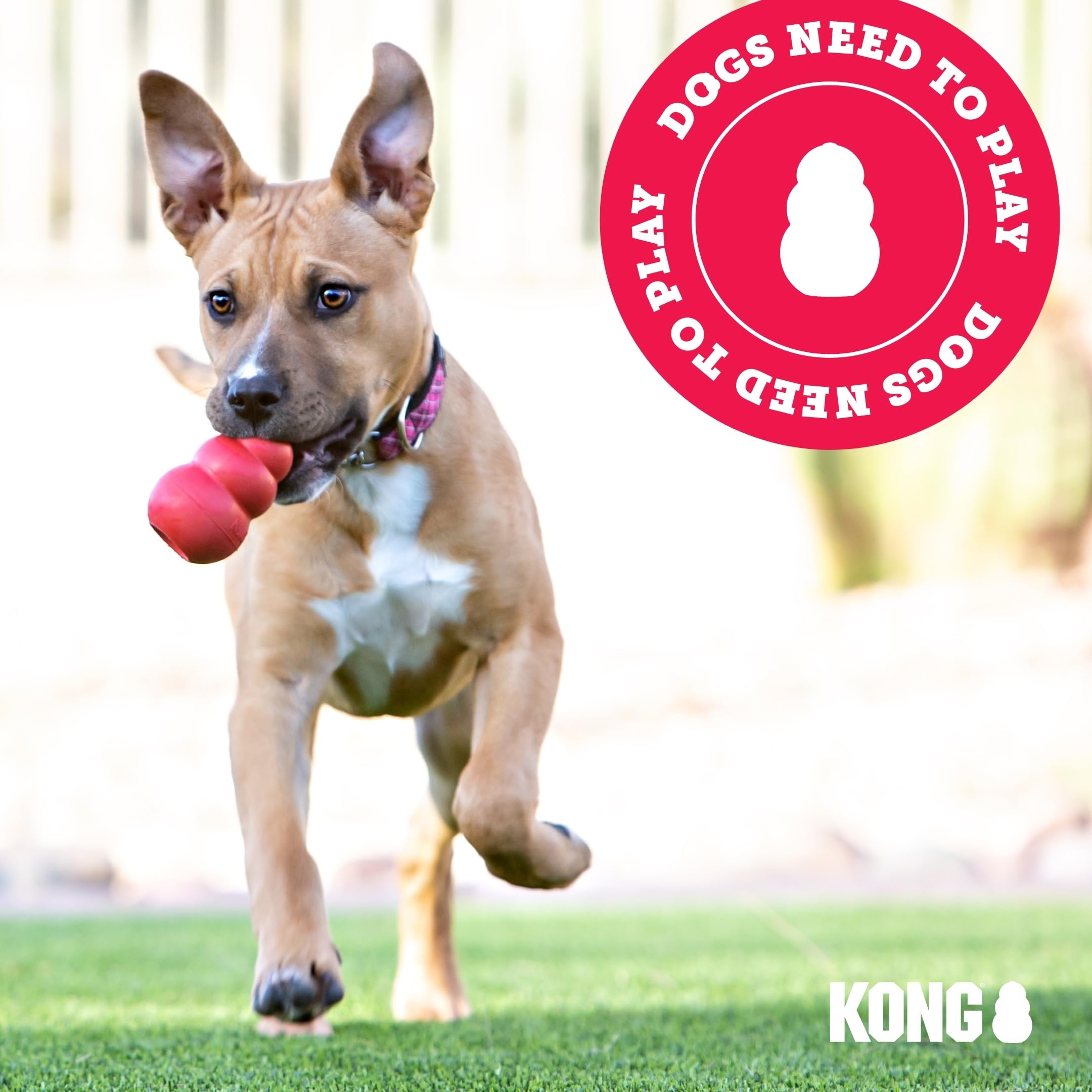 KONG Wild Knots Bears - Durable Dog Toys with Internal Knotted Ropes and Minimal Stuffing for Less Mess (Assorted Colors) (Medium/Large) detail image 7