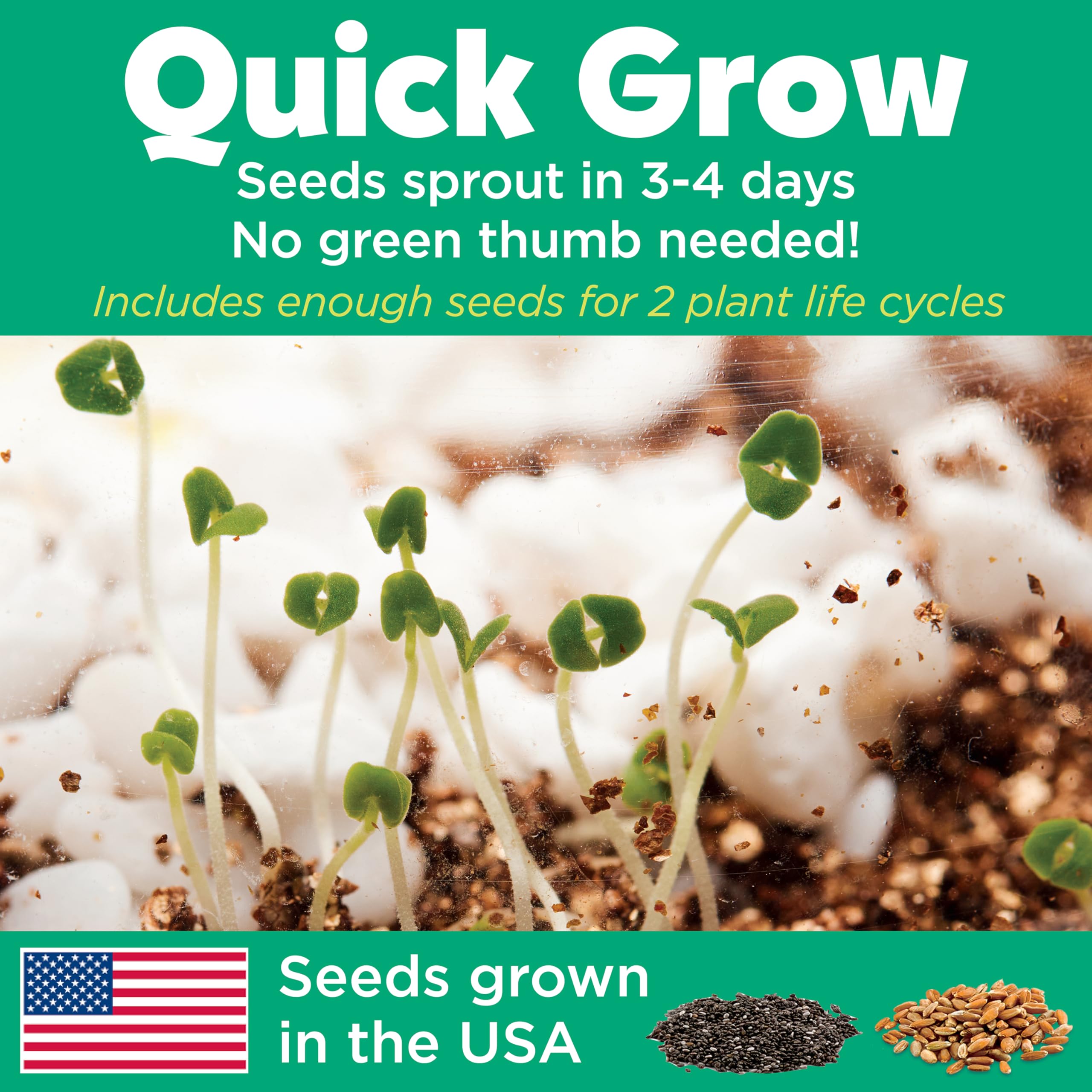 Creativity for Kids Grow 'N Glow Terrarium Kit - Educational Science Kits | Screen Free Summer Fun Activities | Gifts for Boys and Girls | Craft and STEM Projects (Ages 6+) detail image 8