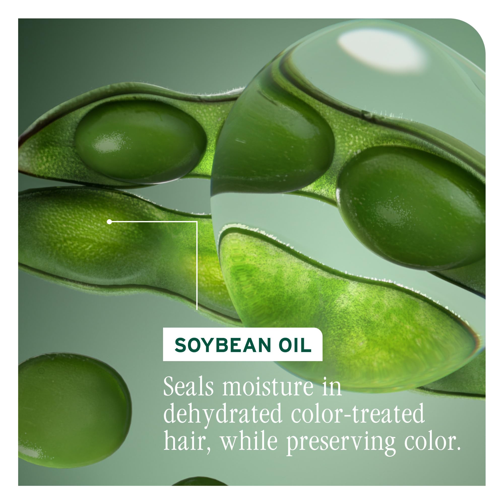 Biolage Color Last Conditioner – For Color-Treated Hair detail image 6