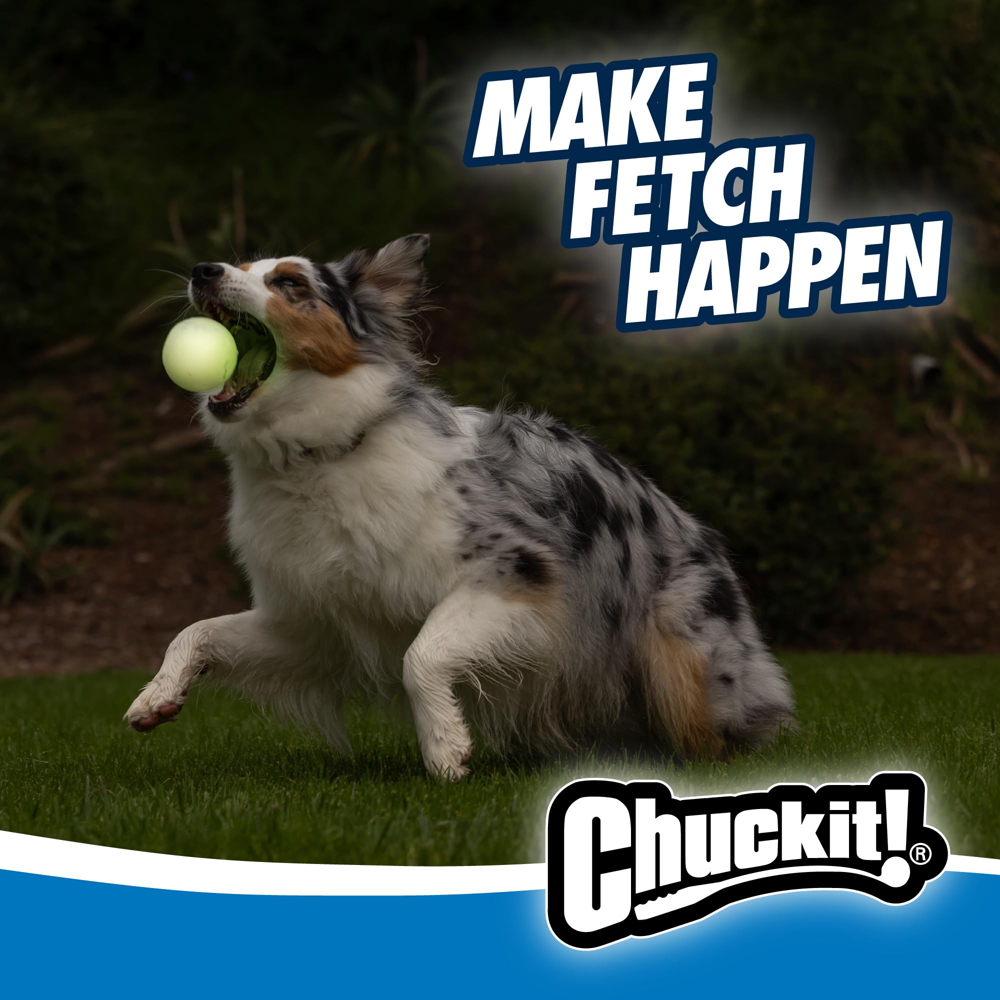 Chuckit! Glow in the Dark Bouncy Balls - Ball for Dogs, Chuckit Dog Toy, Max Glow Balls - Medium, 2. 5 Inch Pack of 2 detail image 3