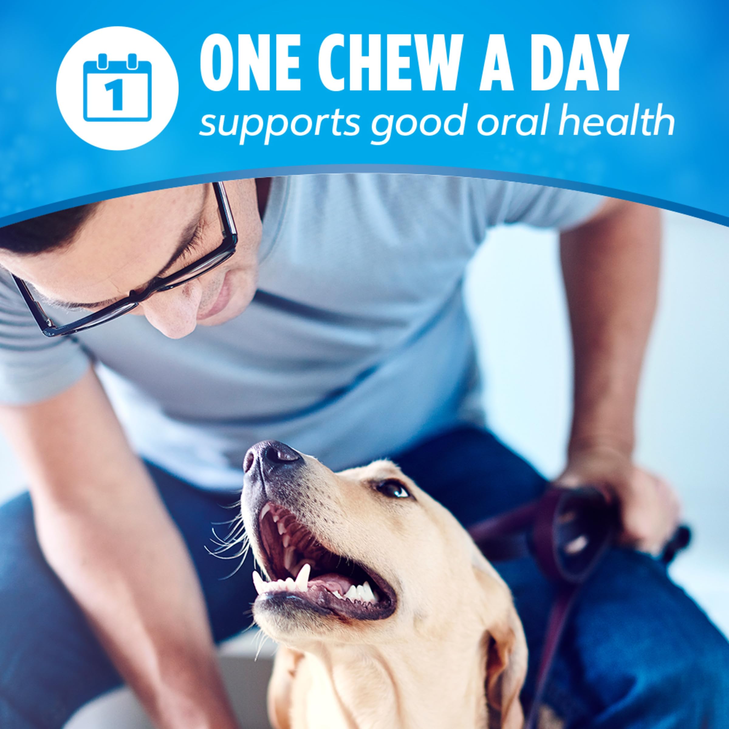 DentaLife Daily Oral Care Dog Treats for Small and Medium Dogs, Chewy Dental Treat to Freshen Breath and Fight Tartar, Chicken Flavor - 40 ct. Pouch detail image 7
