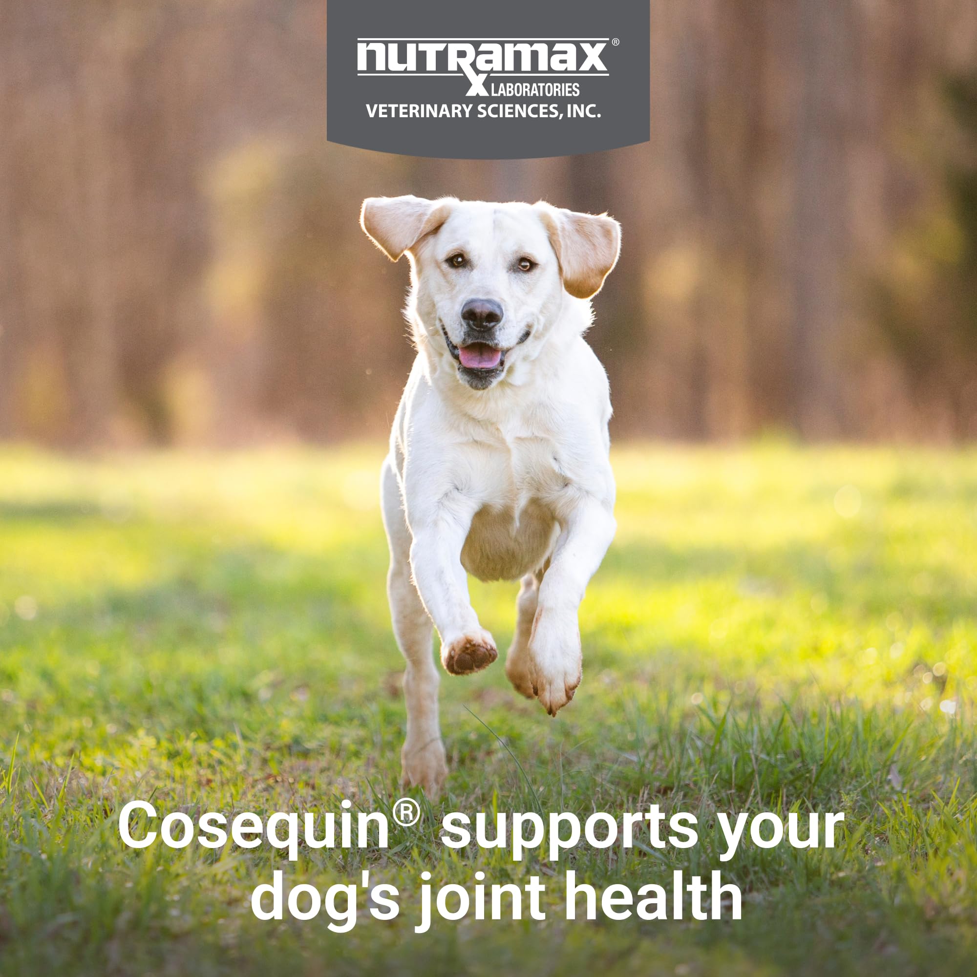Nutramax Cosequin Joint Health Soft Chews for Dogs, with Glucosamine, Chondroitin, MSM & Omega-3s, 120 Count detail image 3
