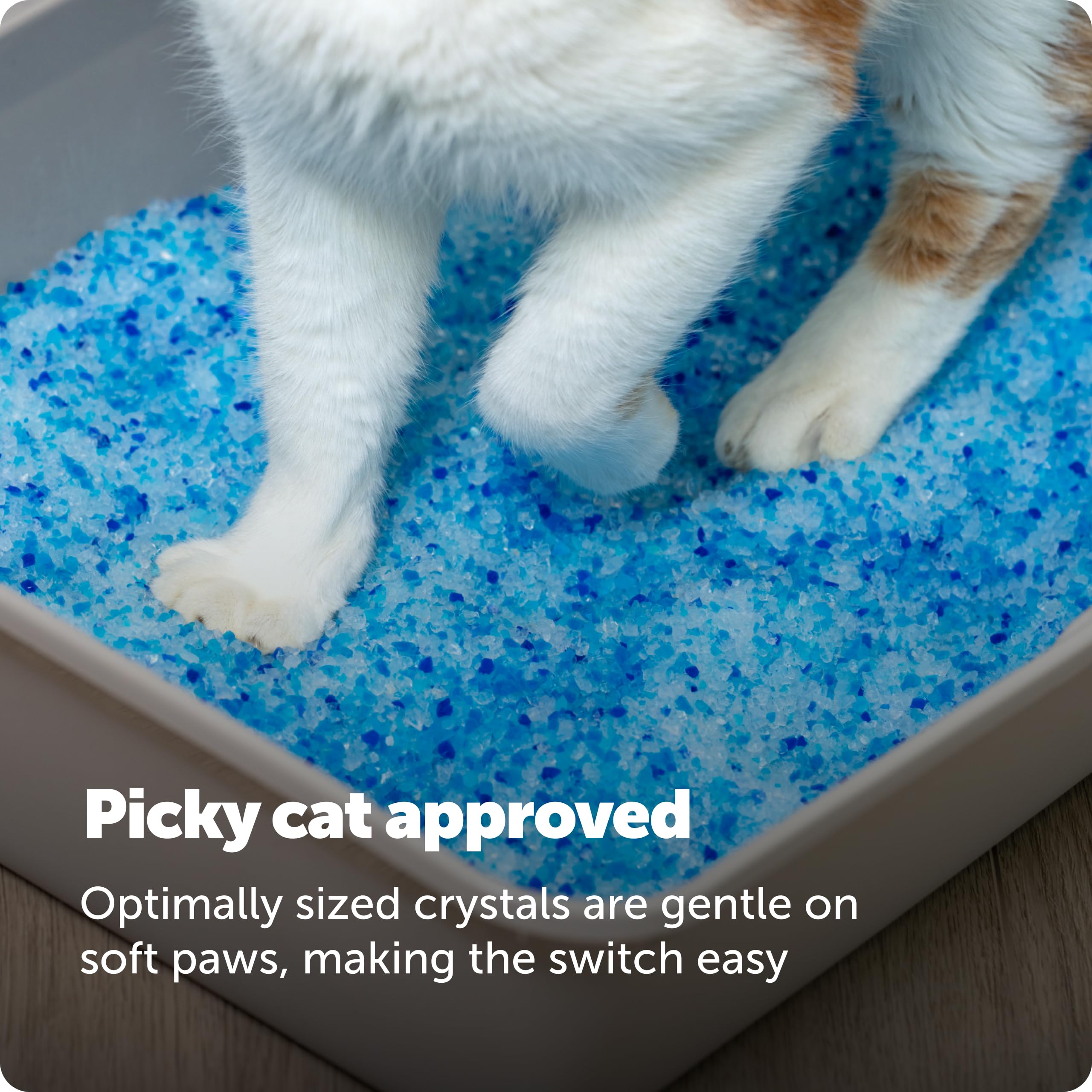 PetSafe ScoopFree 4.3 lb Bags (2 Pack) Premium Crystal Cat Litter - Outperforms Clay Litter - Refill Packs - Reusable Tray Compatible - Fresh Scent detail image 8