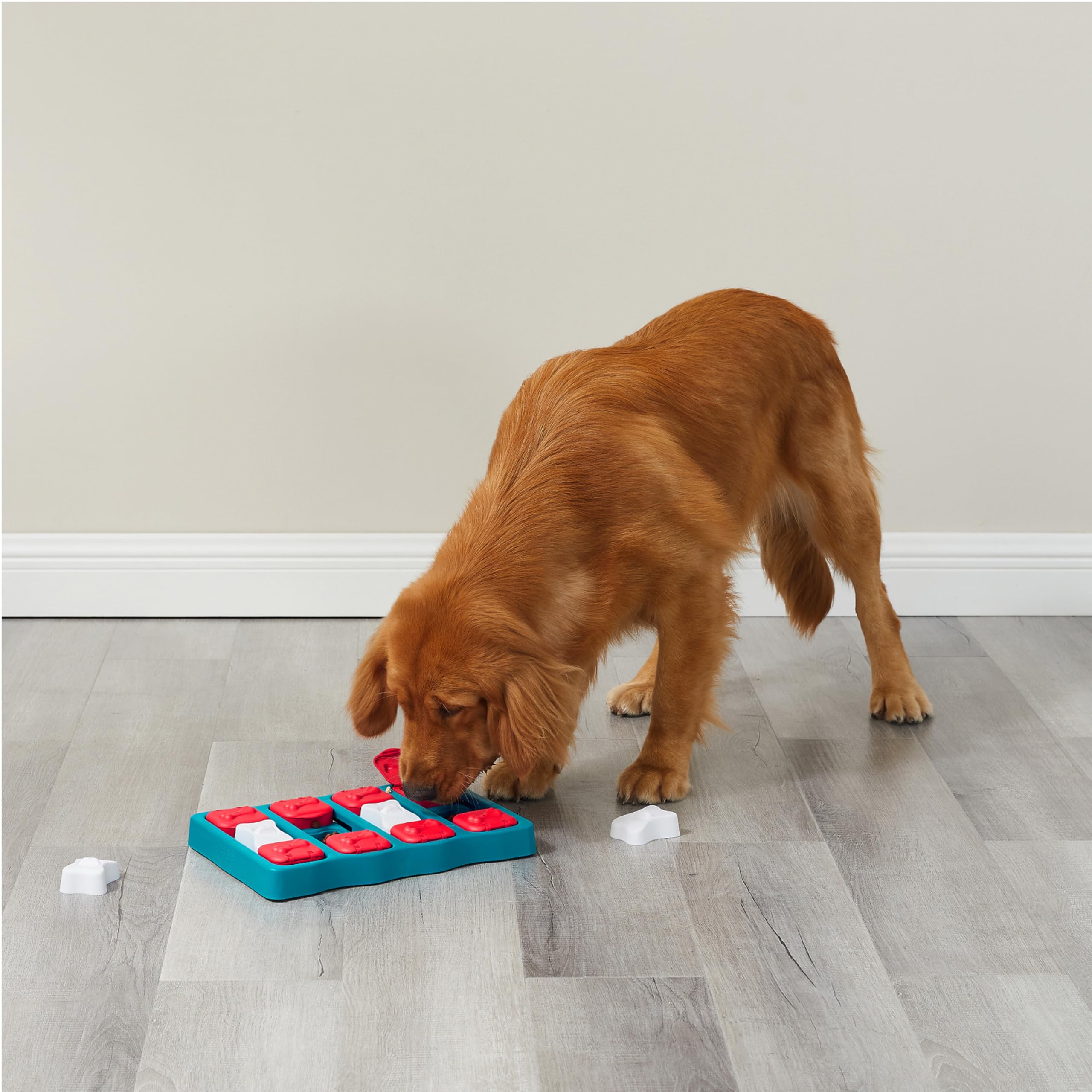 Outward Hound by Nina Ottosson Dog Brick – Interactive Treat Puzzle Enrichment Toy, Level 2 Intermediate detail image 8