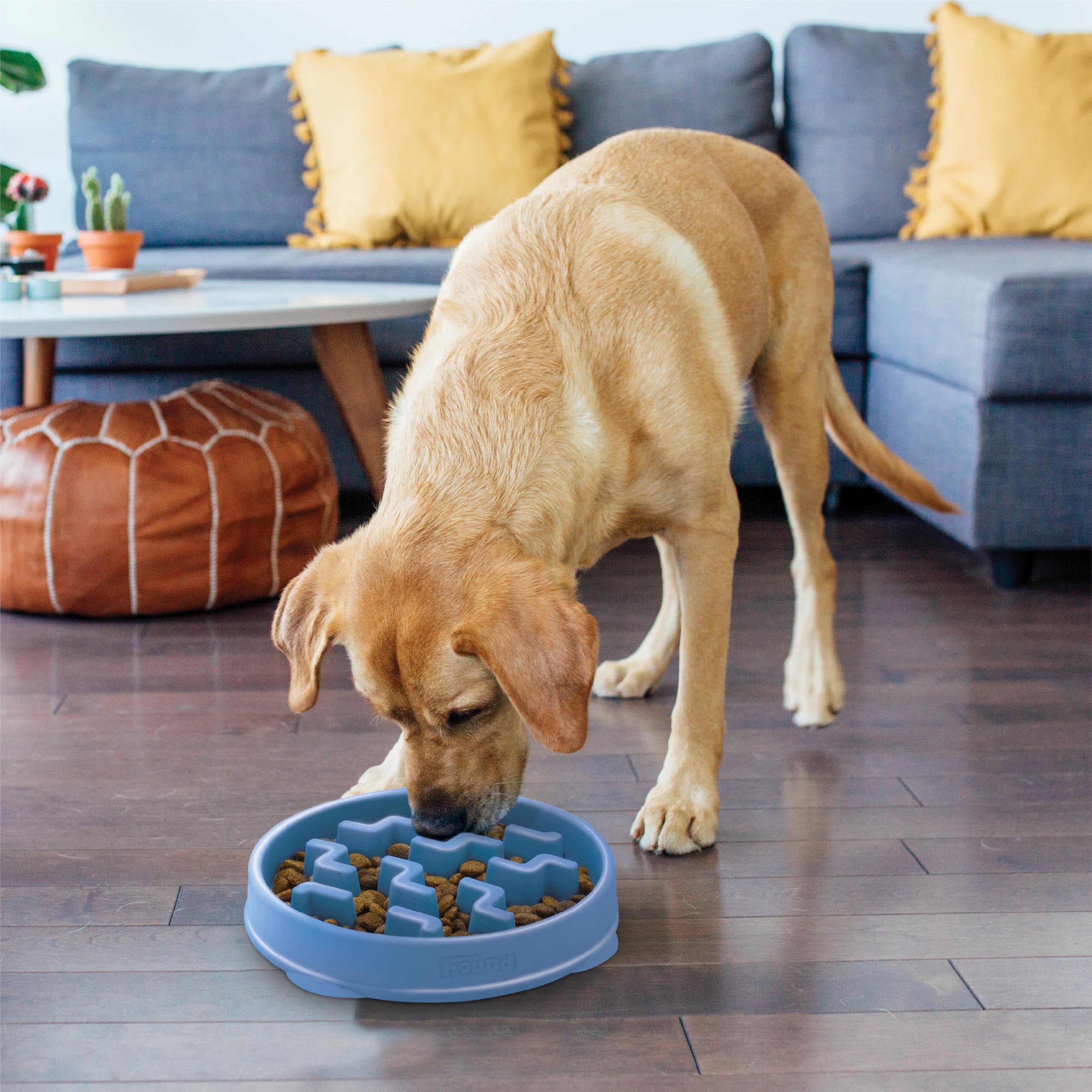 Outward Hound Fun Feeder Slo Bowl – Large 4‑Cup Capacity, Slow Feeding, Medium to Large Dogs, Non‑Slip, Blue, Notch Pattern detail image 6