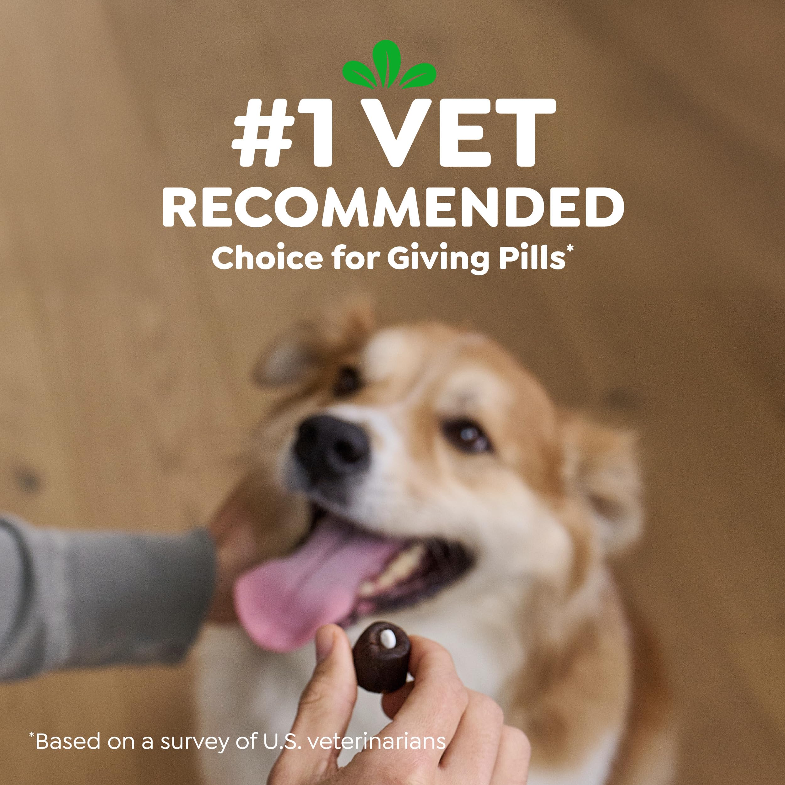 Greenies Pill Pockets for Dogs, Large, Peanut Butter Flavor, 15. 8 oz Pouch detail image 7