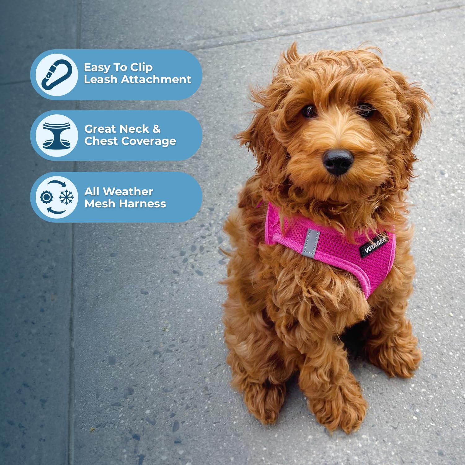 Best Pet Supplies Voyager Step-In Air Mesh Harness - Reflective, No-Pull Vest Harness with Hook & Loop, Buckle & Double D-Rings - Fuchsia, M detail image 3