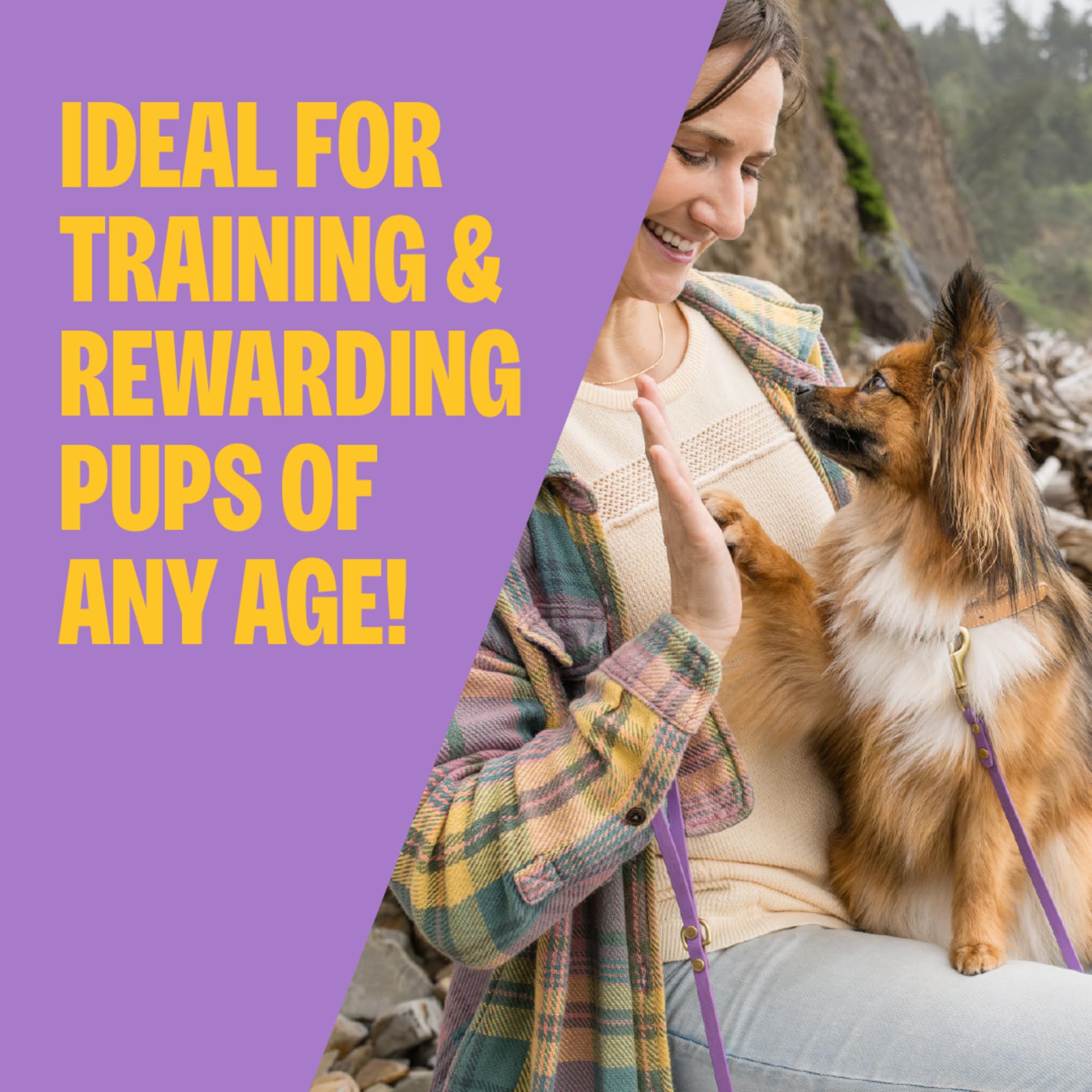 Wellness Soft Puppy Bites Premios para Entrenamiento de Cachorros, Natural, Sin Cereales, Receta de Cordero y Salmón, Bolsa de 8 oz detail image 2