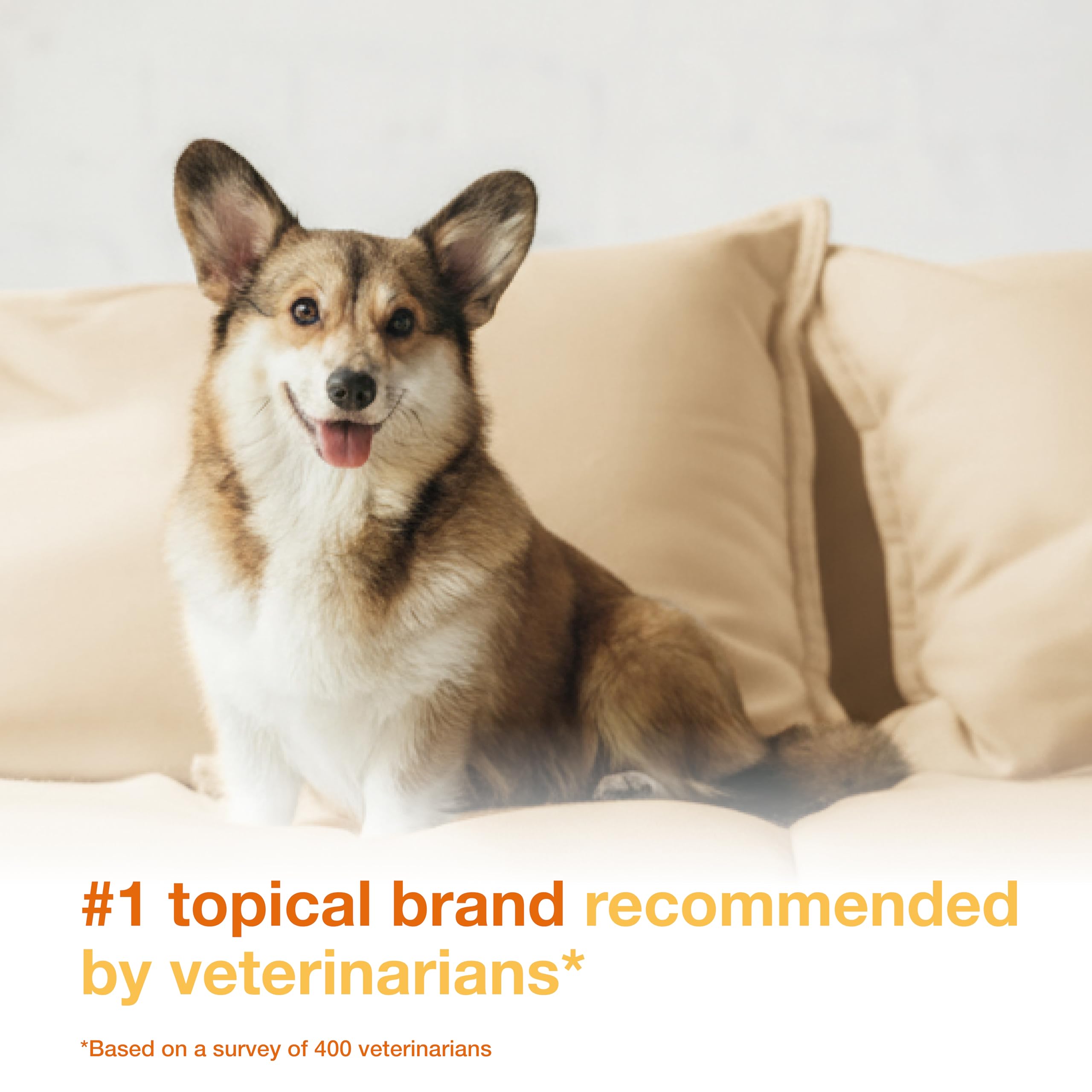 Douxo S3 PYO Mousse Medicado para Perros, Tratamiento Leave-On con Clorhexidina para Infecciones Bacterianas y por Levaduras en la Piel, 150 ml detail image 3