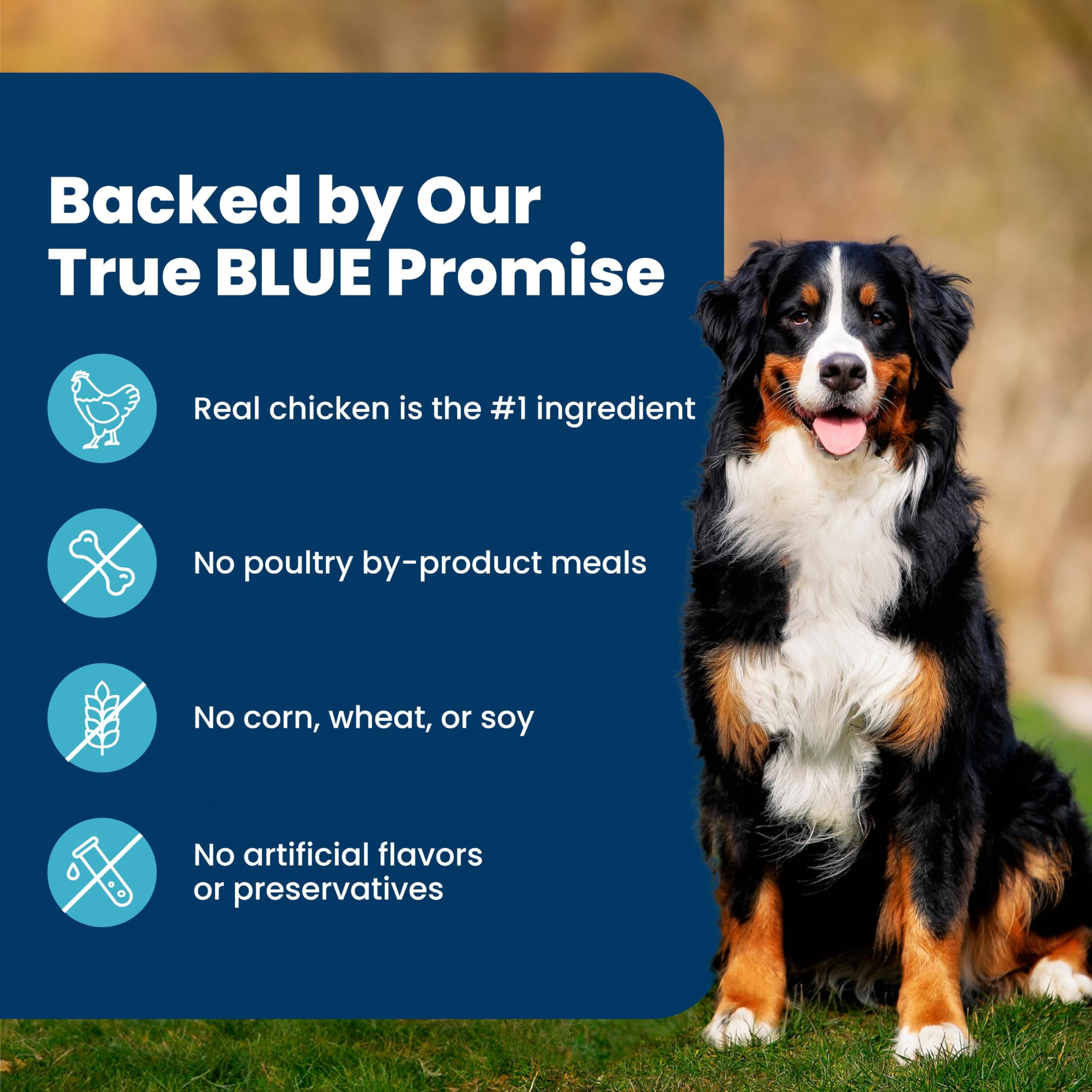 Blue Buffalo Life Protection Formula Pollo y Arroz Integral para Perros Adultos, 5 lb - Apoya la Inmunidad con LifeSource Bits detail image 7