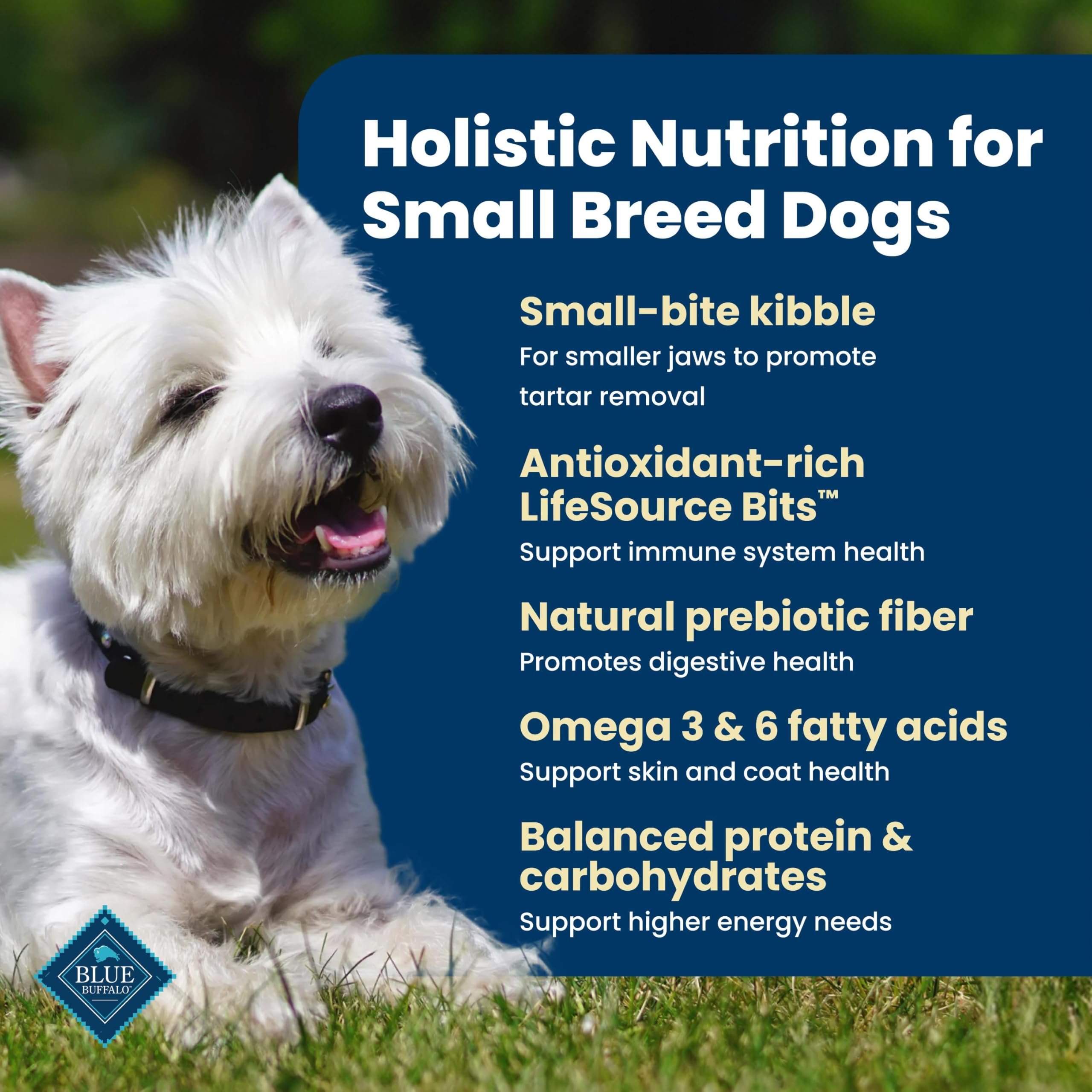 Blue Buffalo Life Protection Formula Pollo y Arroz Integral para Perros Adultos de Razas Pequeñas, Apoya la Inmunidad con LifeSource Bits Ricos en Antioxidantes, Promueve Músculos, Piel y Pelaje Saludables, 5 lb. detail image 3