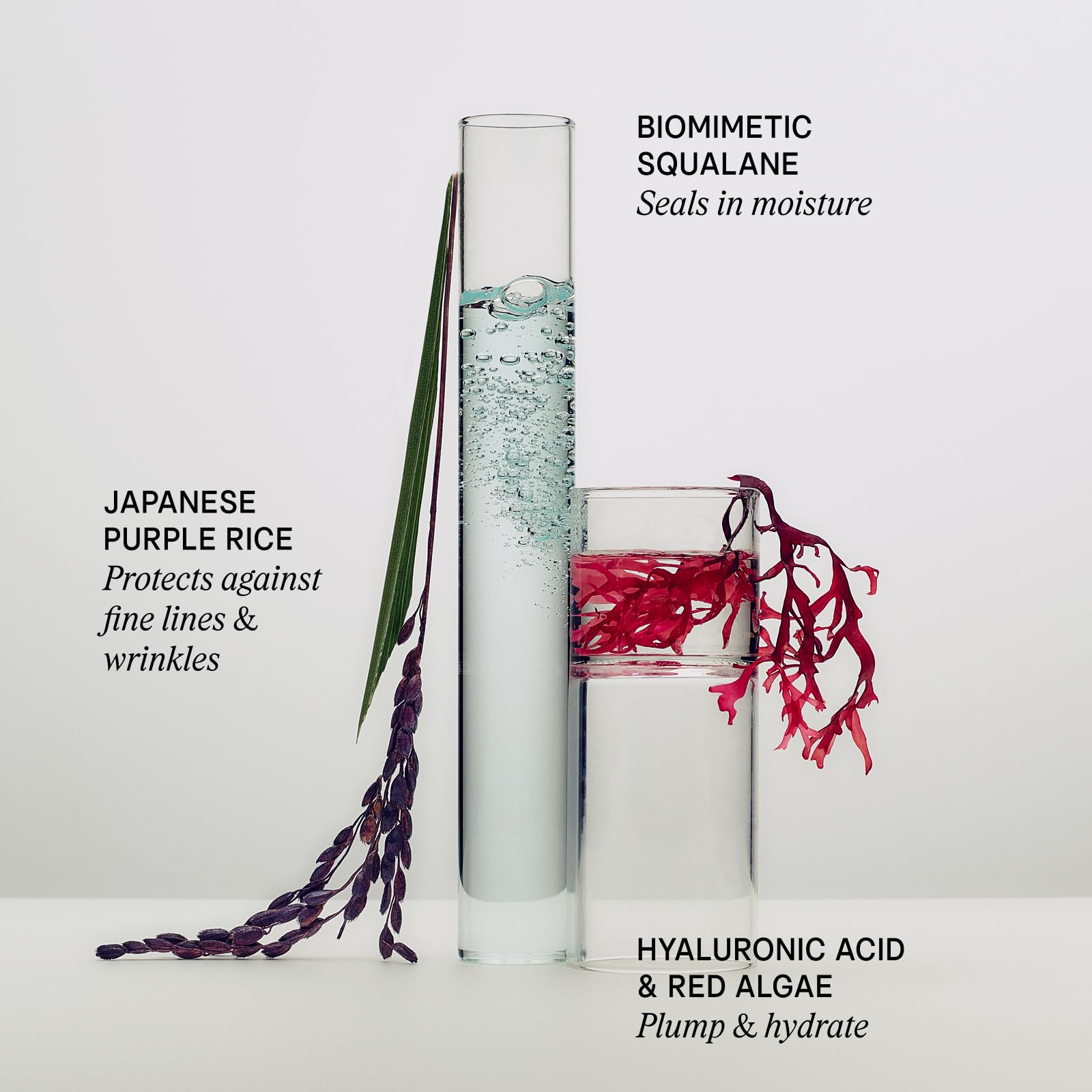 TATCHA The Dewy Skin Cream, Rich Plumping Moisturizer with Hyaluronic Acid detail image 6