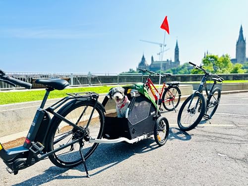 Burley Tail Wagon – Lightweight Dog Bike Trailer with Mesh Windows, Removable Floor & Low-Clearance Entry detail image 8