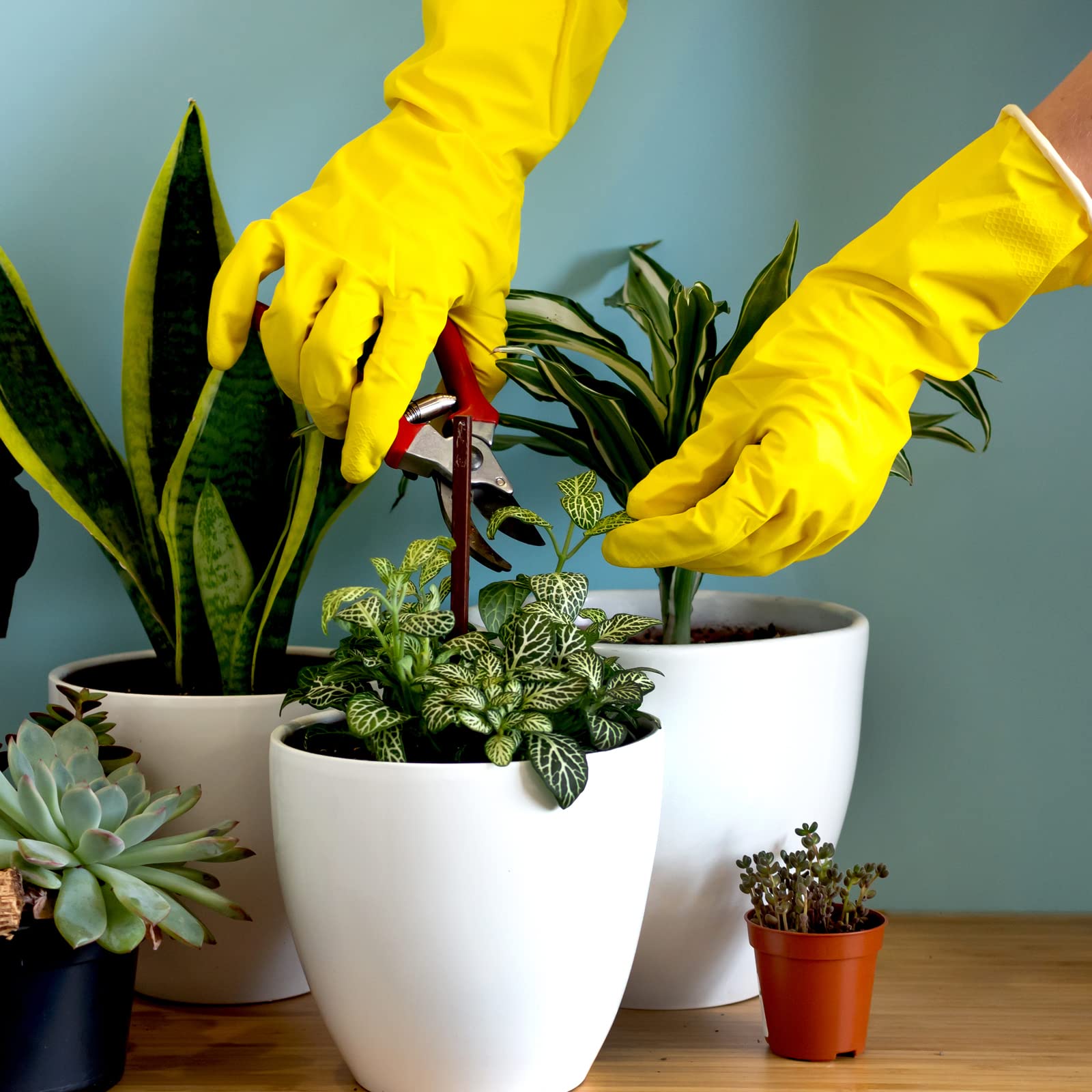 Rubber Kitchen Dishwashing Gloves — 4 Pairs, Colorful Reusable Household Cleaning Gloves (Medium: Blue, Pink, Yellow, Red) detail image 4