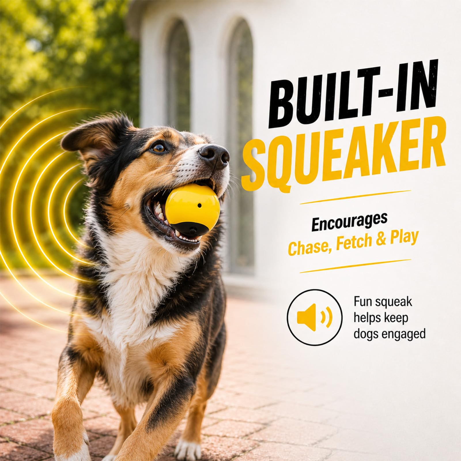 Squeaky Floating Rubber Dog Ball for Fetch — 2. 7-inch Interactive Water and Outdoor Toy for Small & Medium Dogs detail image 2