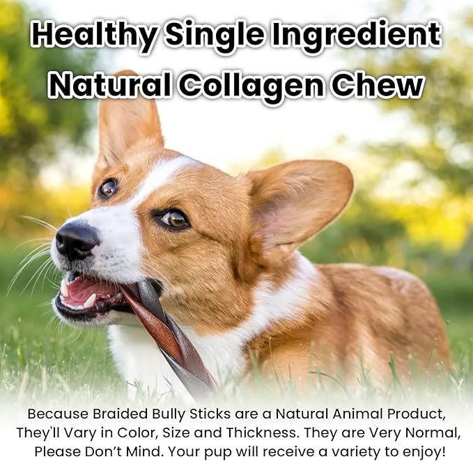 Azrapaws 6 Inch Roasted Collagen Braided Dog Chew Sticks Premium Rawhide Dental Treats for Medium and Large Breeds detail image 4