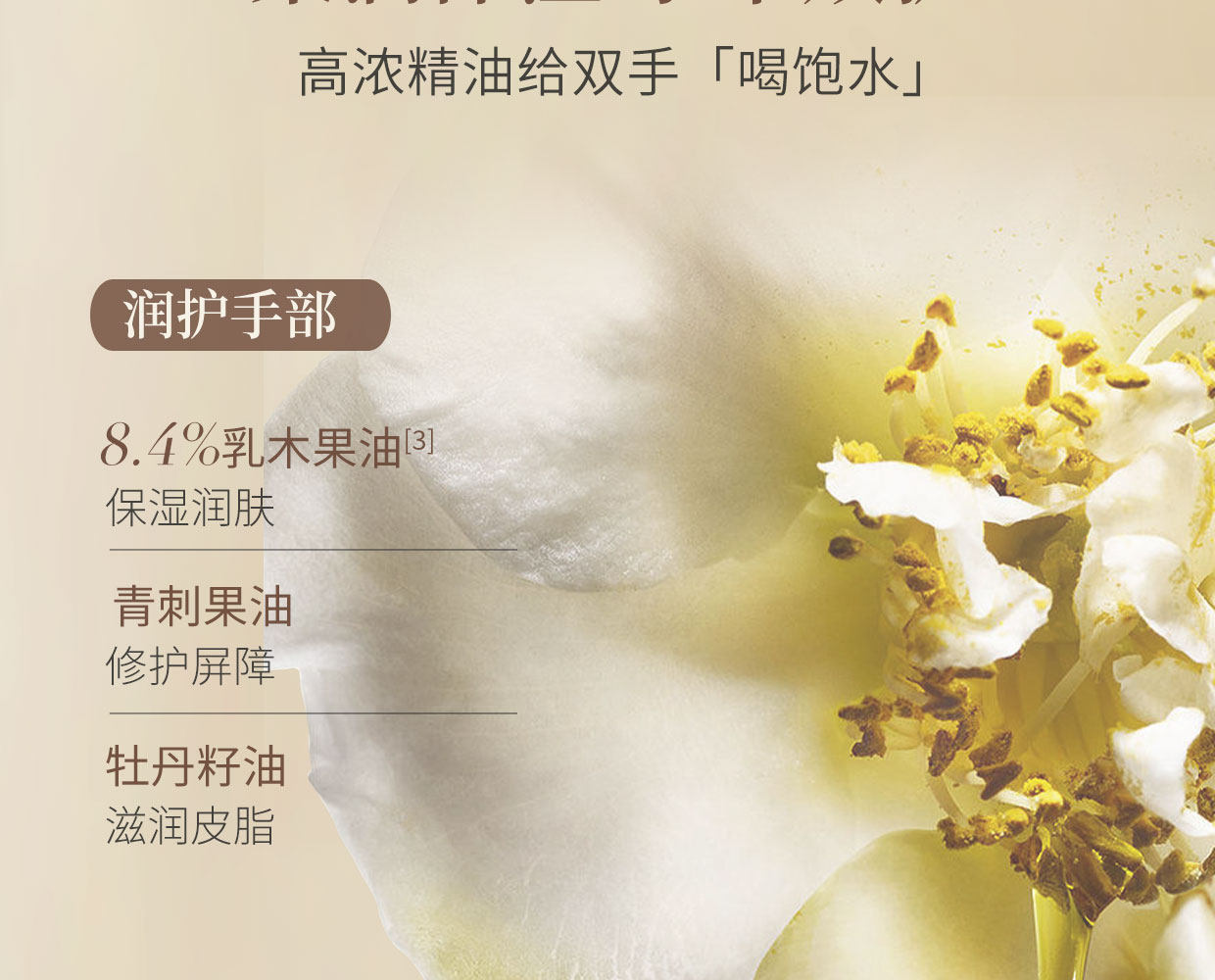 Aarye Nourishing Fragrant Hand Cream — Dual A Anti-Aging, Moisturizing Repair, Long-Lasting Scent, 40g detail image 11