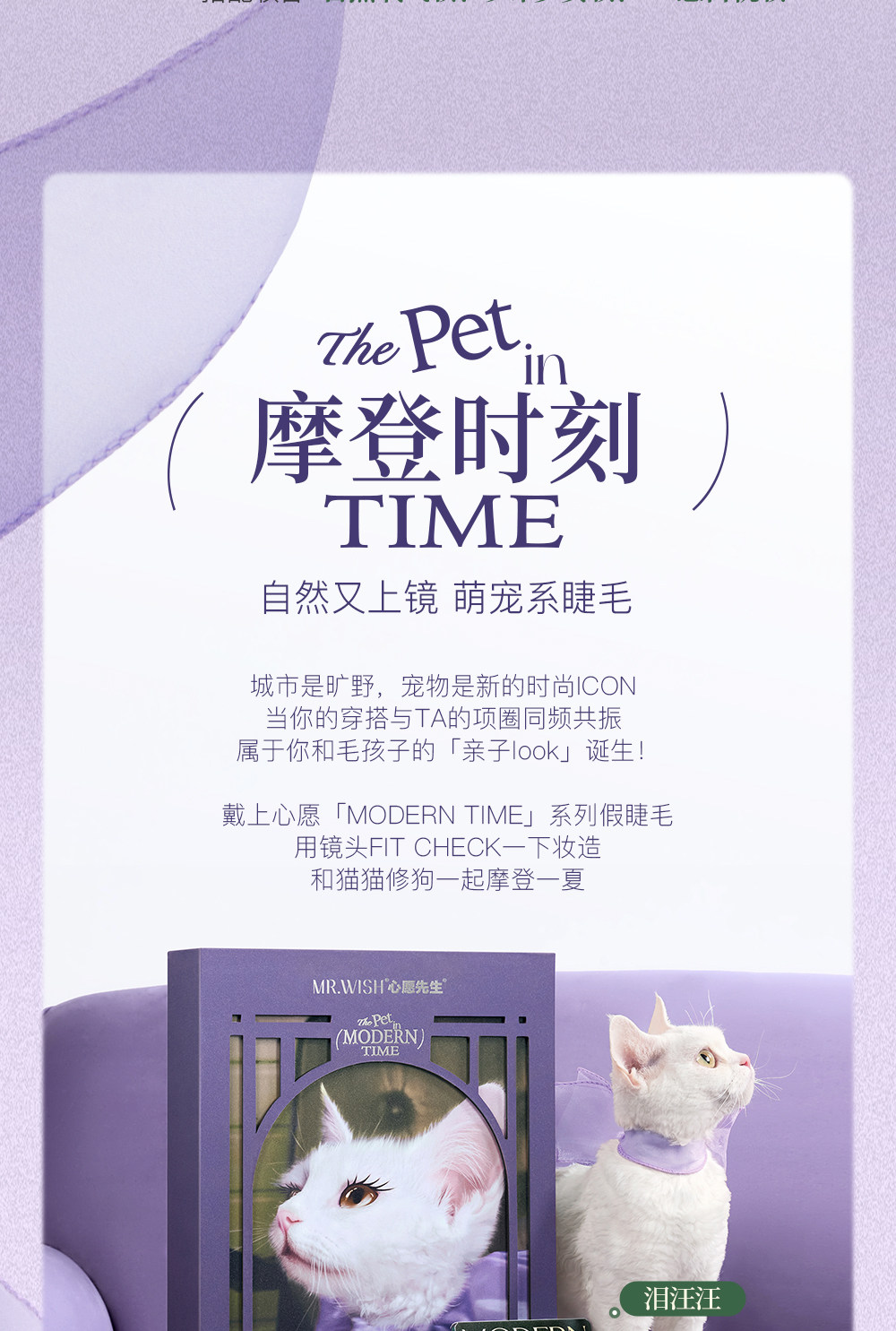 MR.WISH Modern Time Series Glue-Free False Eyelashes — Natural Light Makeup, Beginner Friendly detail image 5
