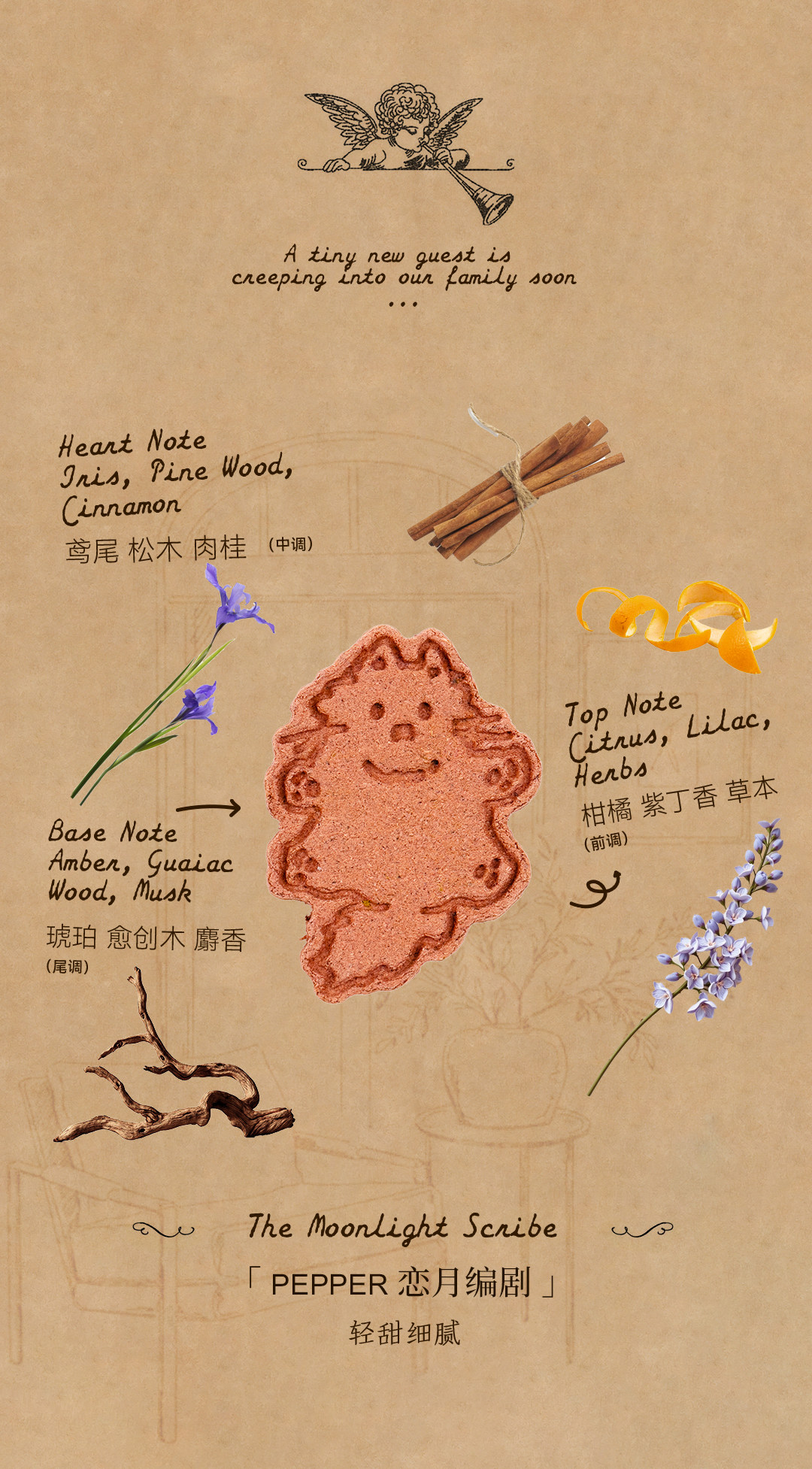 SoraKsa Fairy Tales Coin Incense — Soothing Sleep Aid, Ready-to-Burn Aroma Tabs, 10 pcs/Box detail image 17